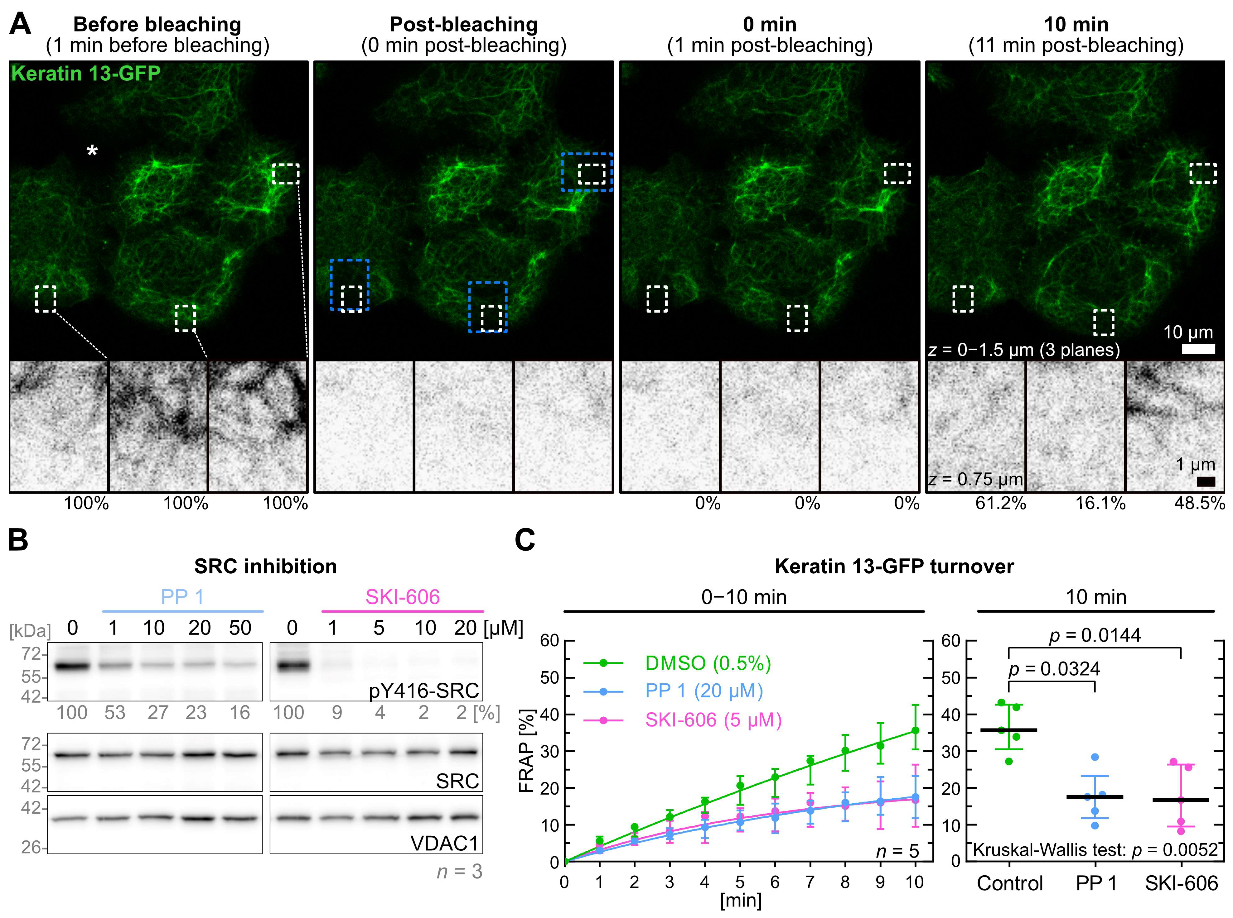 Ijms 26 05476 g001 Ijms 26 05476 g001