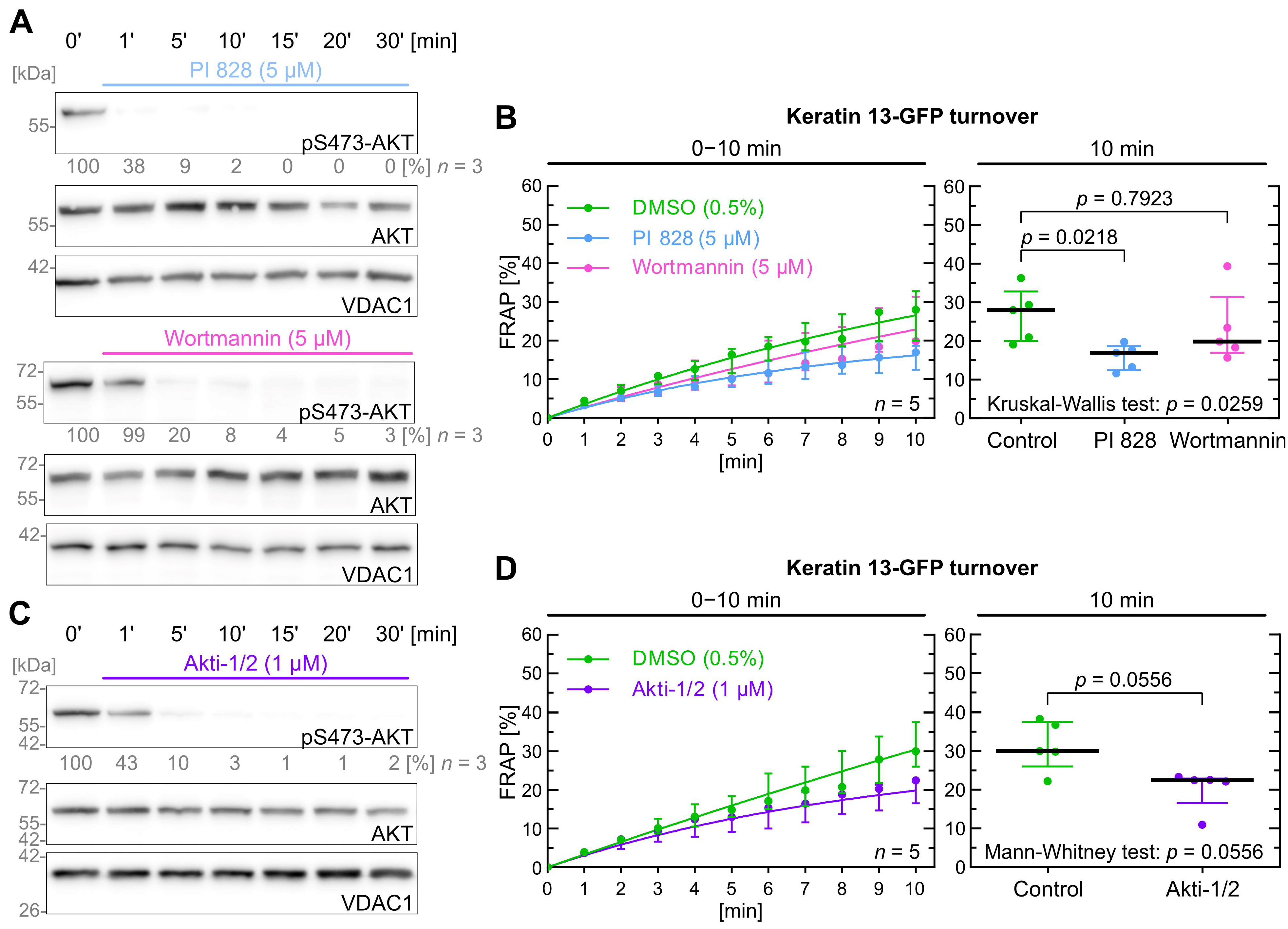Ijms 26 05476 g003 Ijms 26 05476 g003