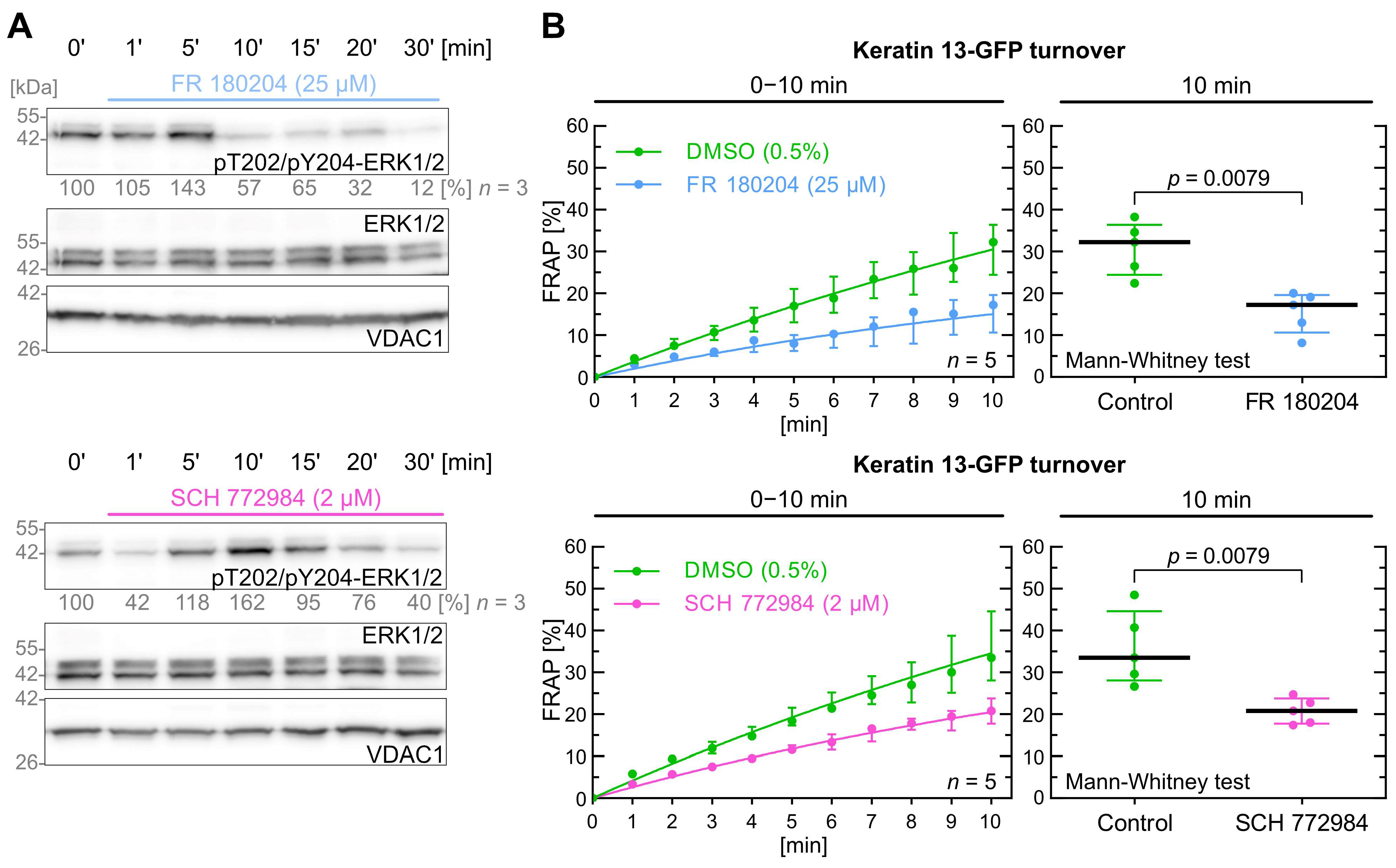Ijms 26 05476 g004 Ijms 26 05476 g004