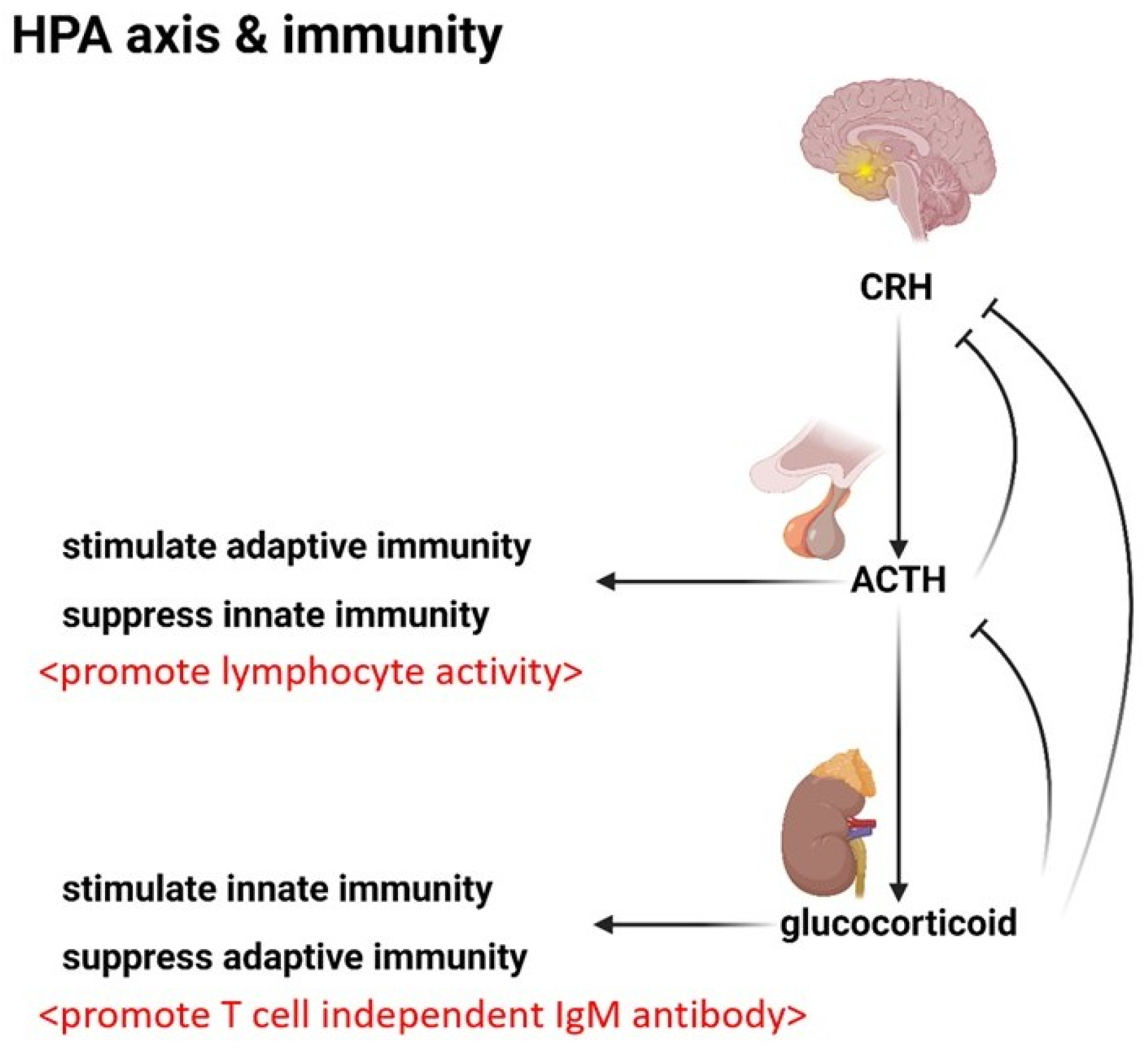 Ijms 26 05503 g003 Ijms 26 05503 g003