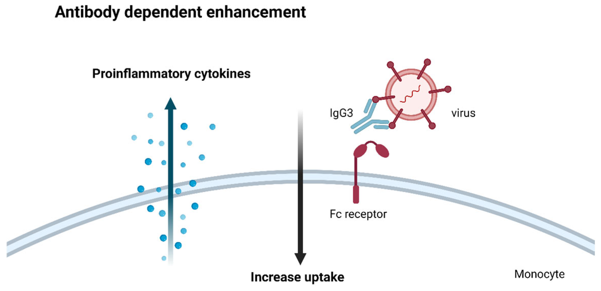 Ijms 26 05503 g005 Ijms 26 05503 g005