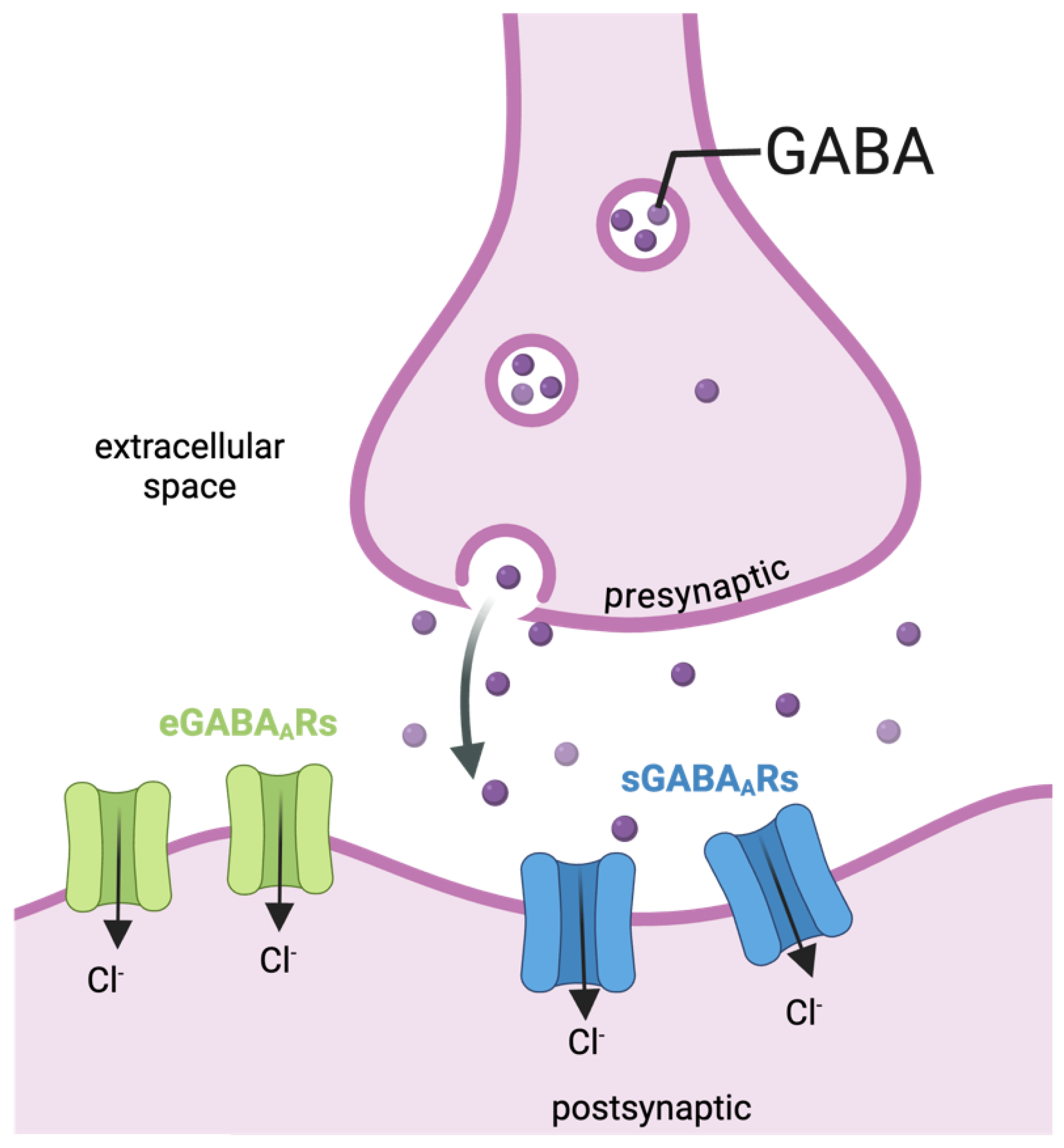 Ijms 26 05508 g001 Ijms 26 05508 g001