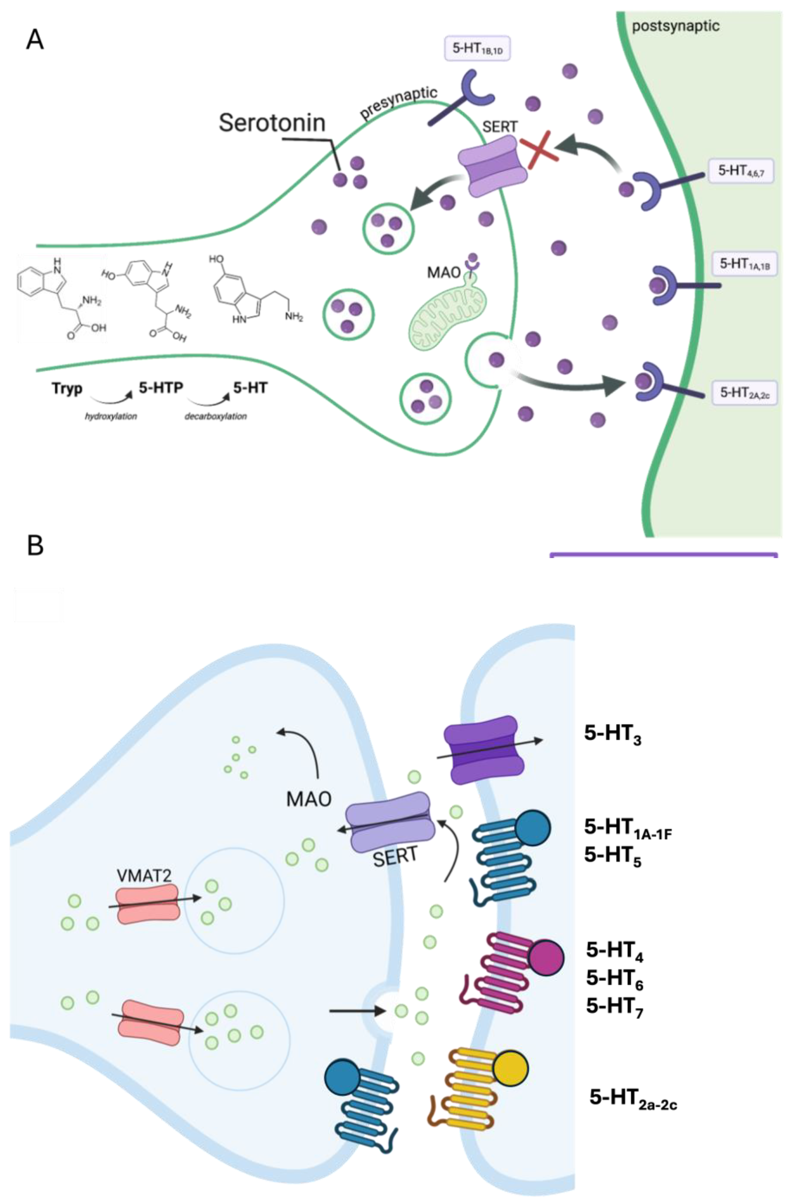 Ijms 26 05508 g003 Ijms 26 05508 g003