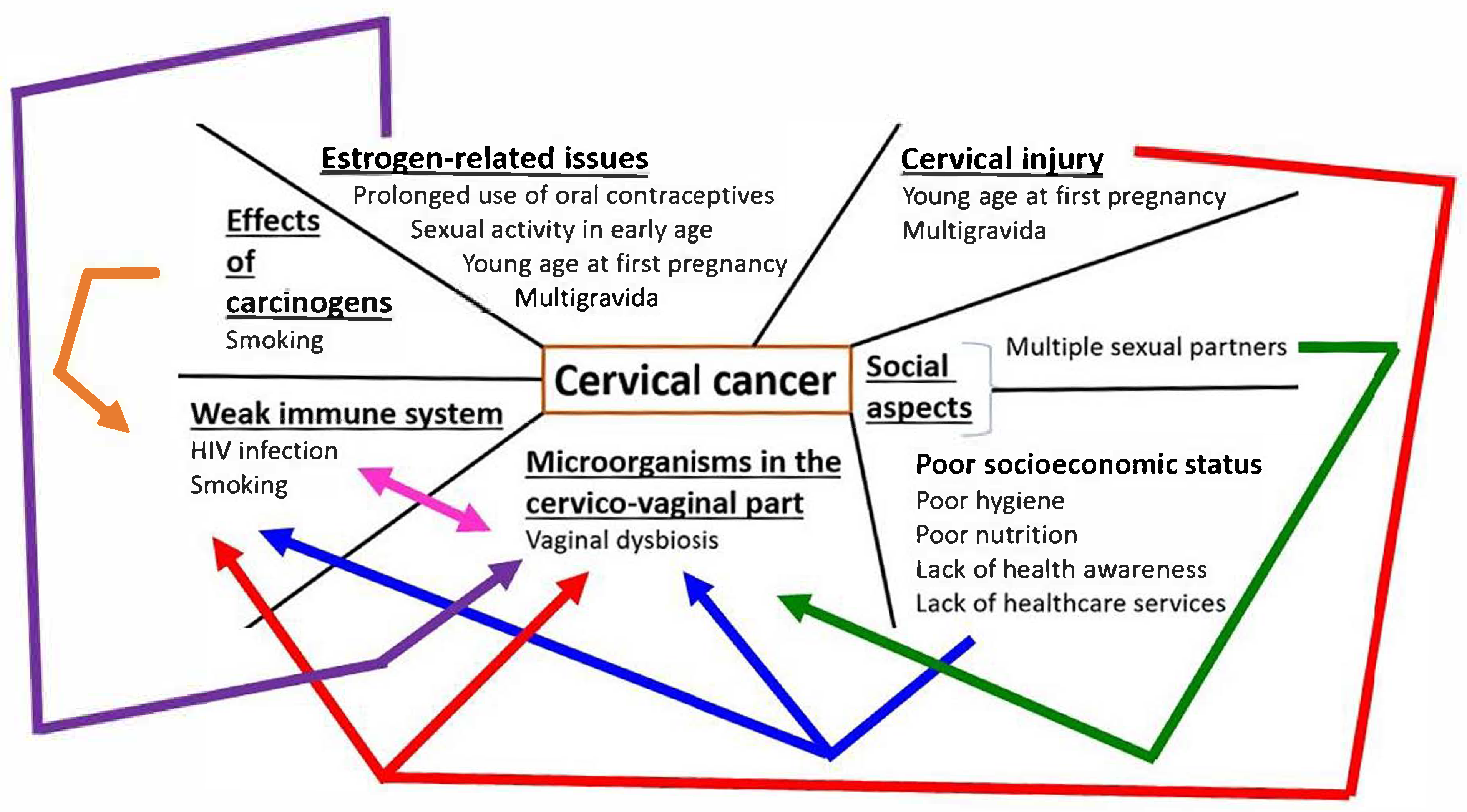 Ijms 26 05549 g001 Ijms 26 05549 g001