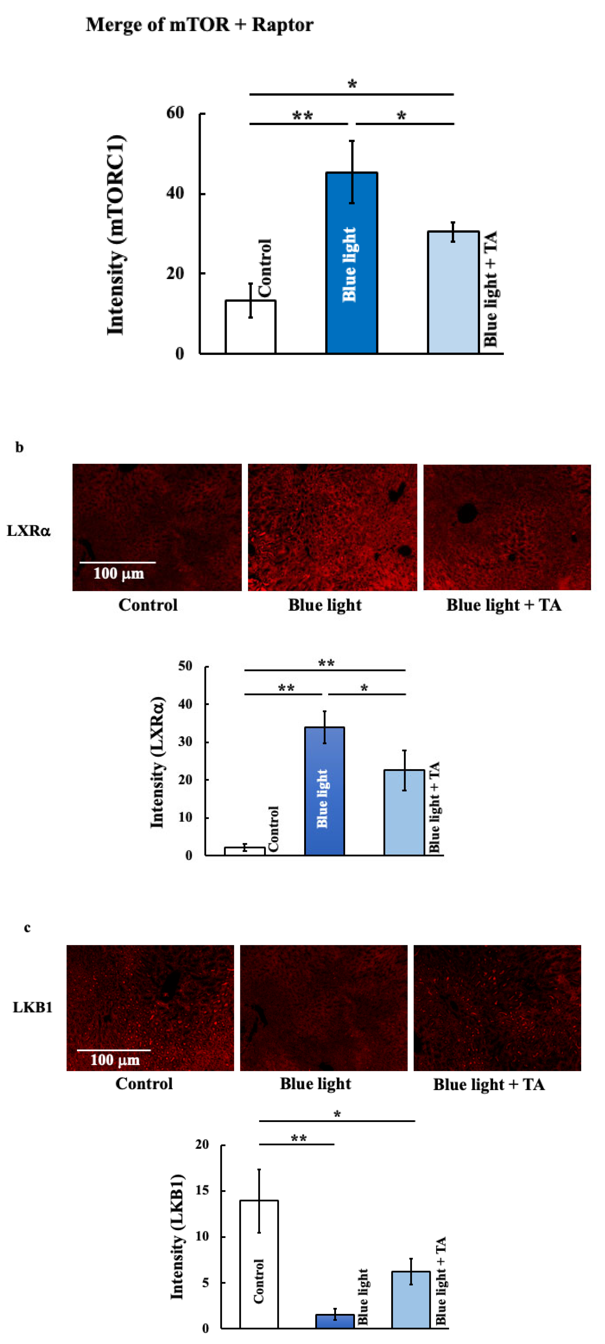 Ijms 26 05554 g004b Ijms 26 05554 g004b
