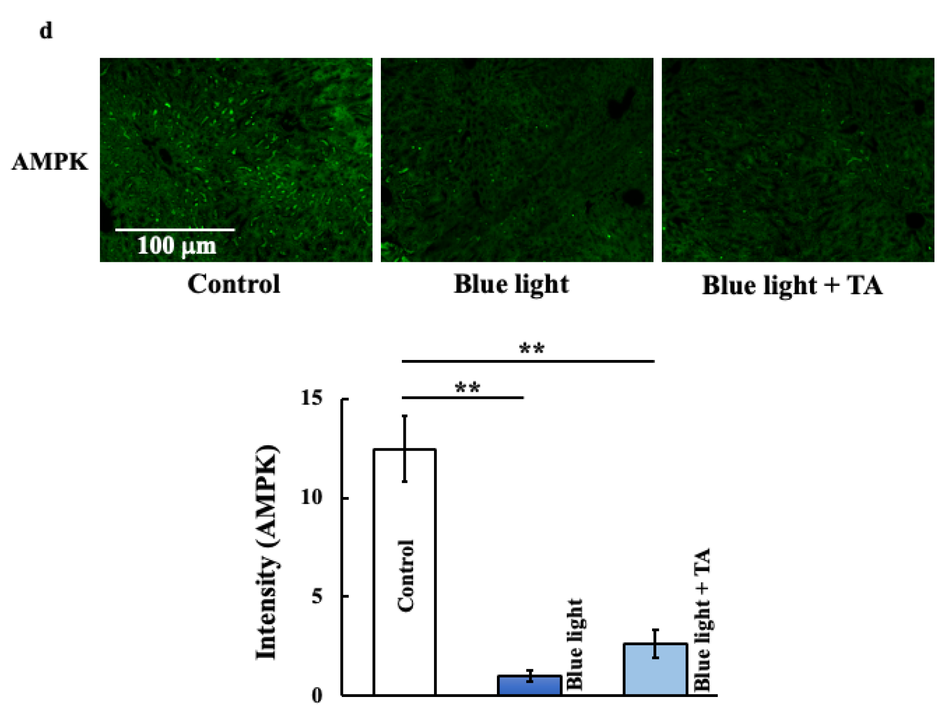 Ijms 26 05554 g004c Ijms 26 05554 g004c