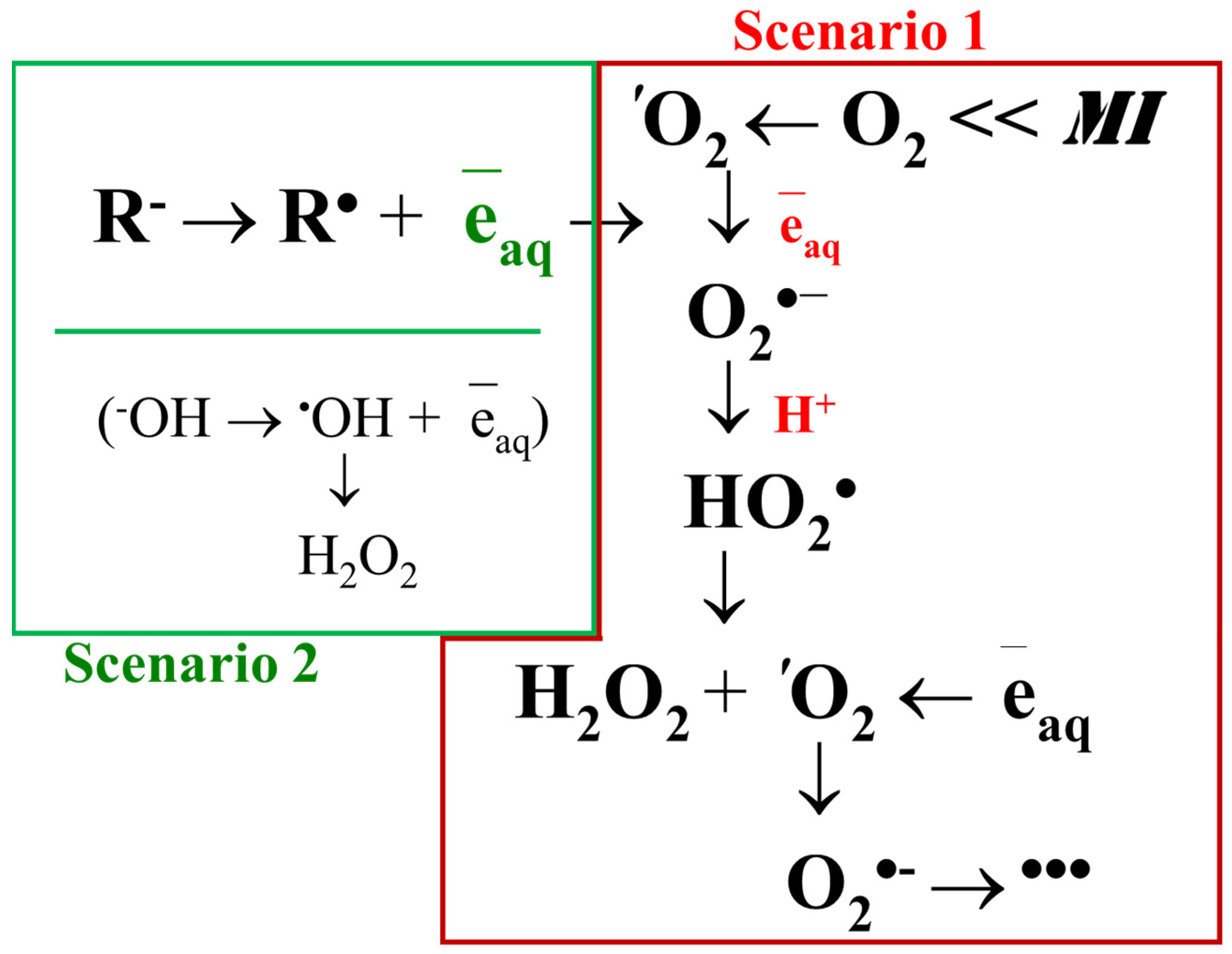 Ijms 26 05556 g001 Ijms 26 05556 g001