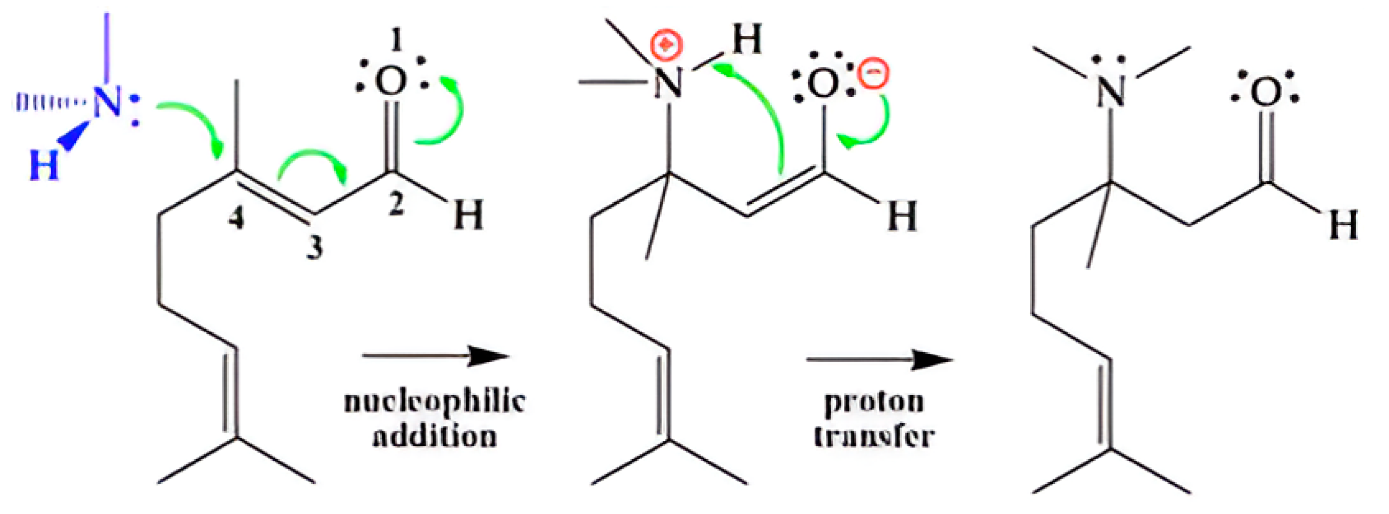 Ijms 26 05601 g011 Ijms 26 05601 g011