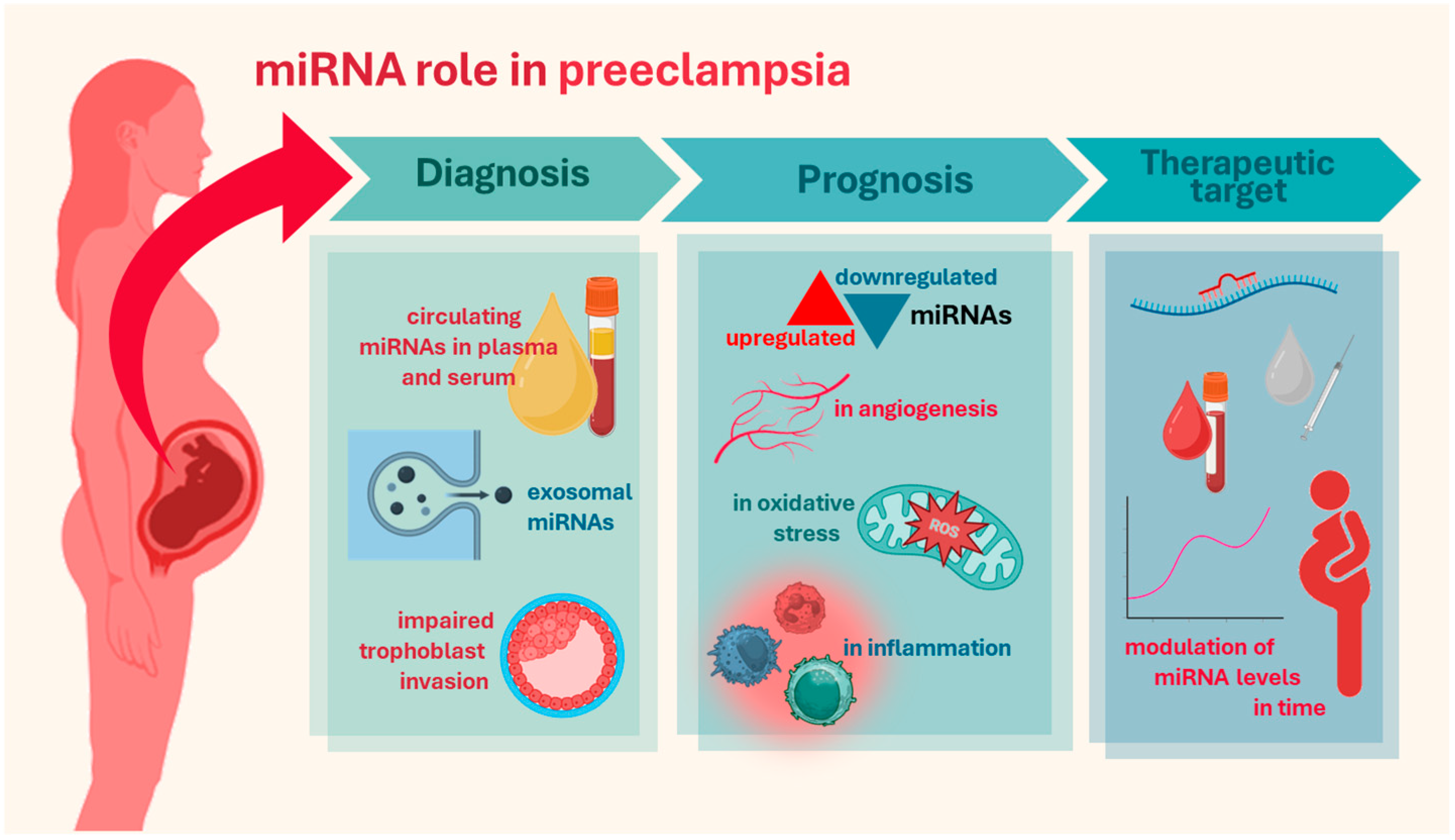 Ijms 26 05607 g001 Ijms 26 05607 g001
