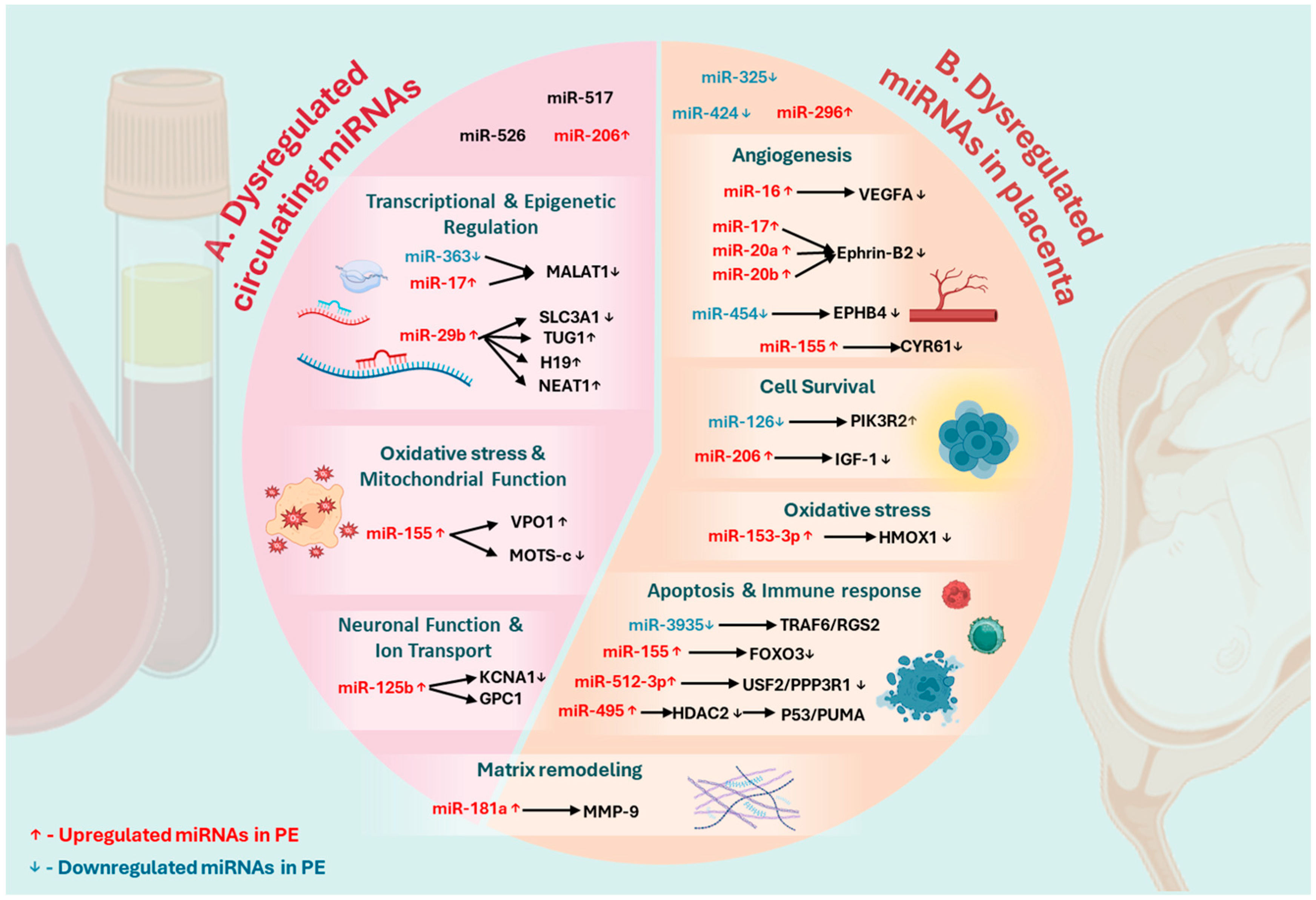 Ijms 26 05607 g002 Ijms 26 05607 g002