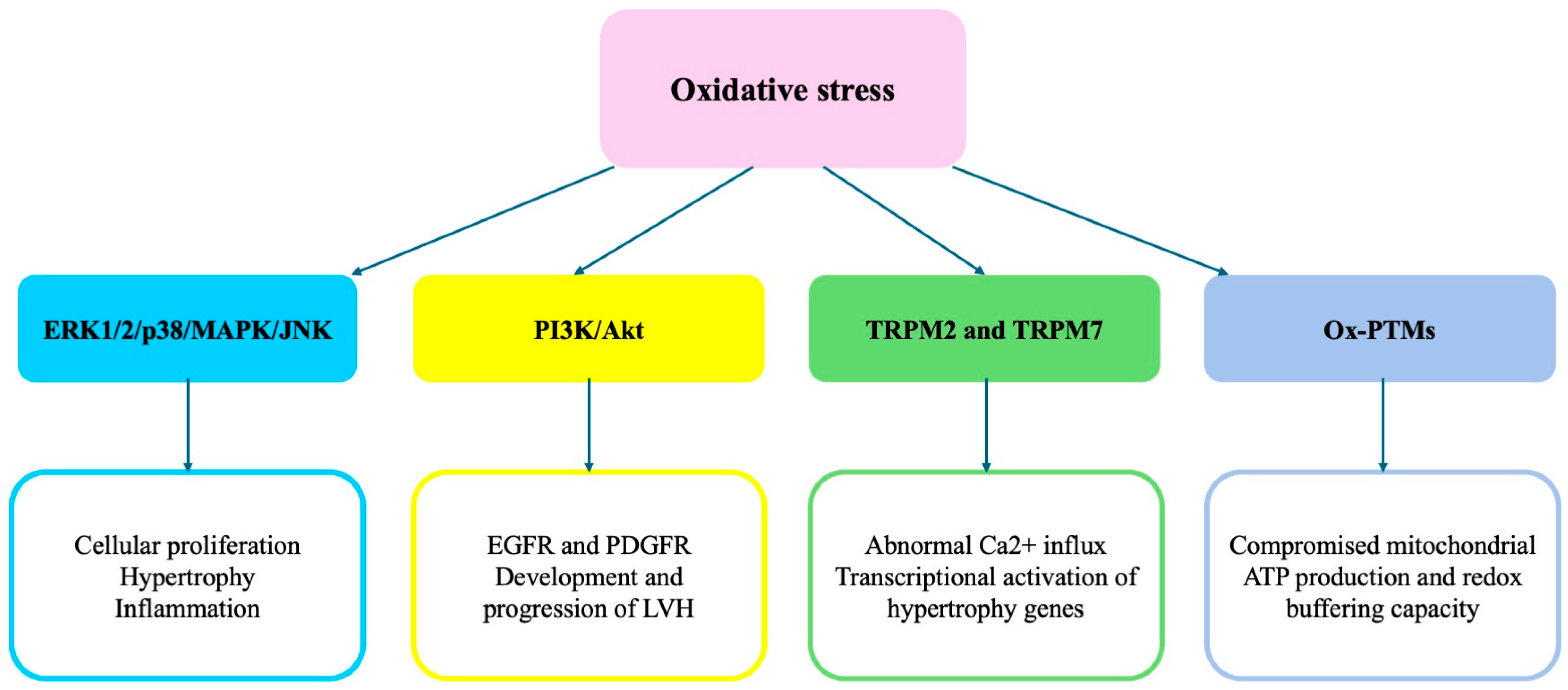 Ijms 26 05610 g001 Ijms 26 05610 g001