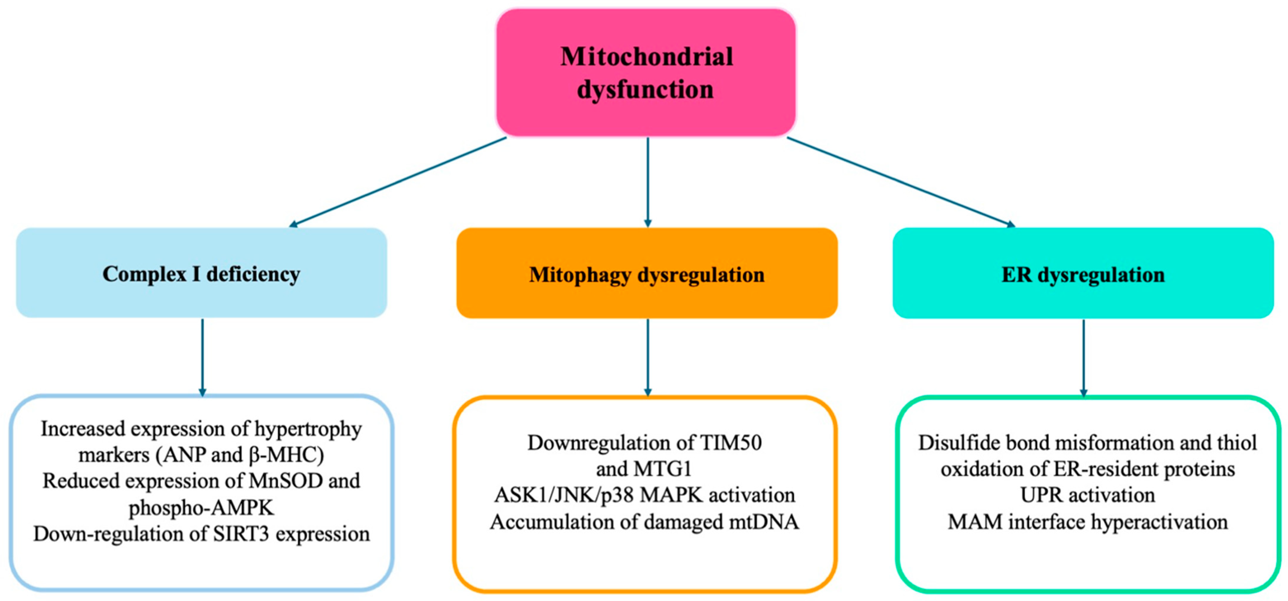 Ijms 26 05610 g002 Ijms 26 05610 g002