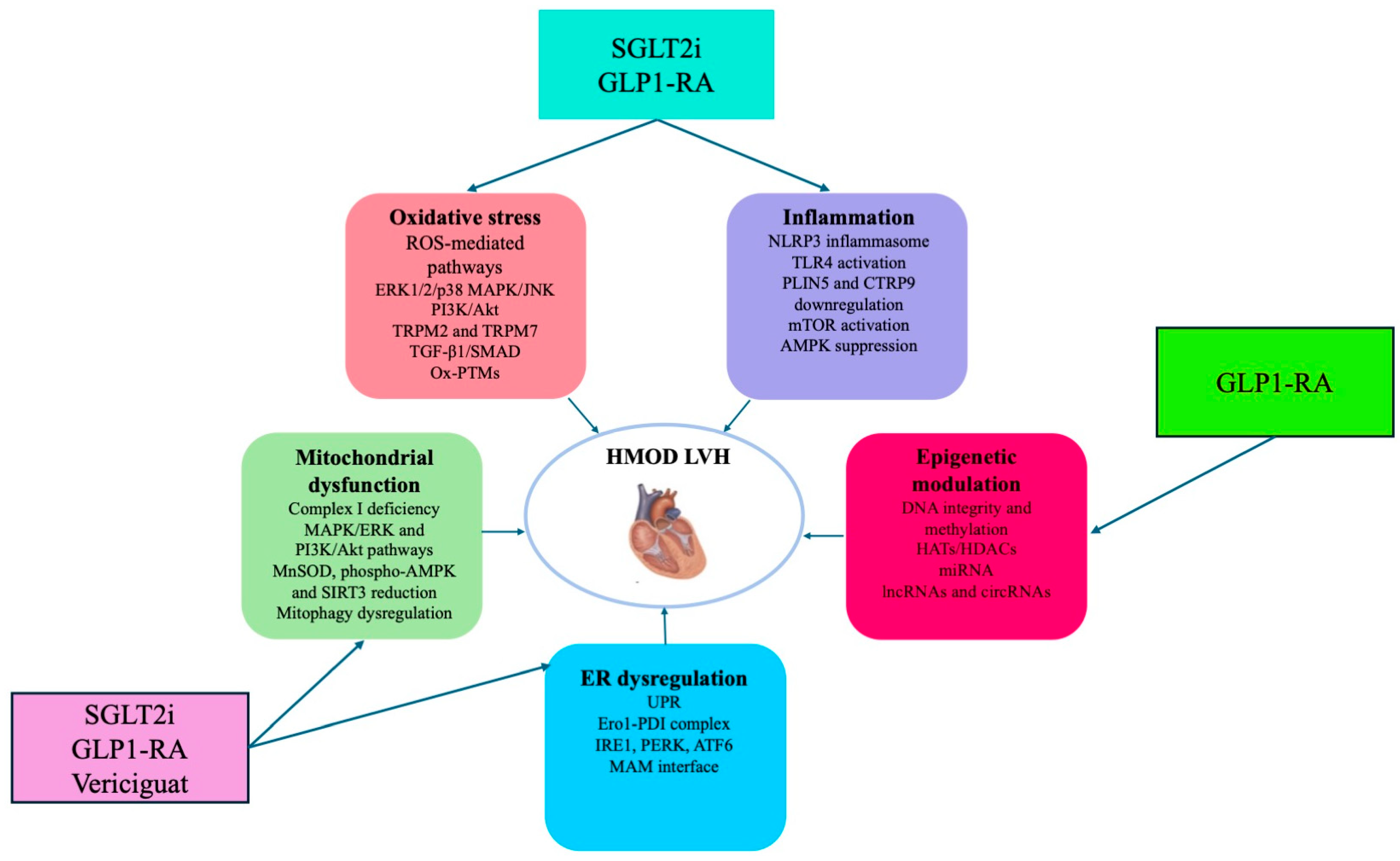 Ijms 26 05610 g004 Ijms 26 05610 g004
