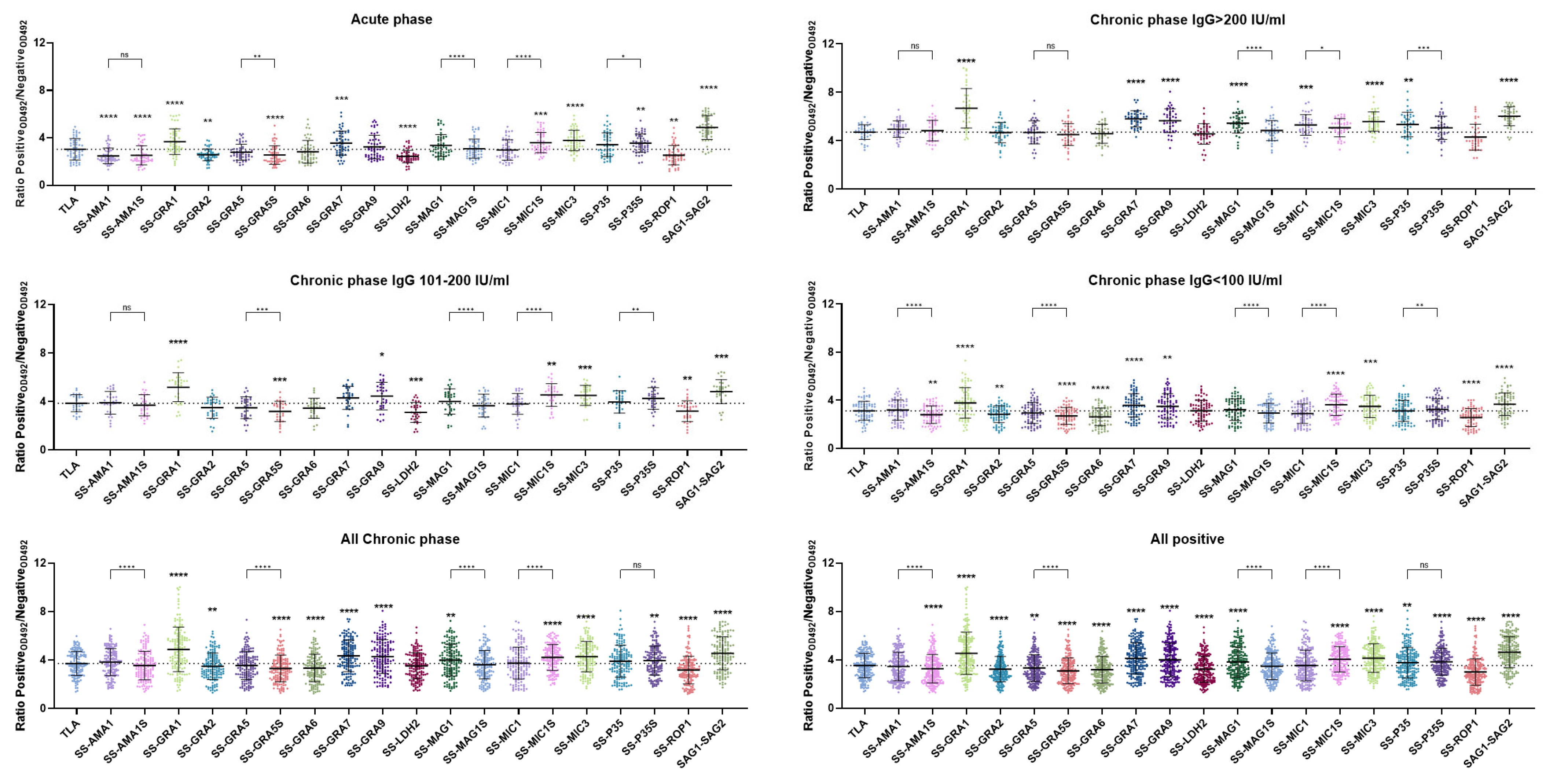 Ijms 26 05621 g004 Ijms 26 05621 g004