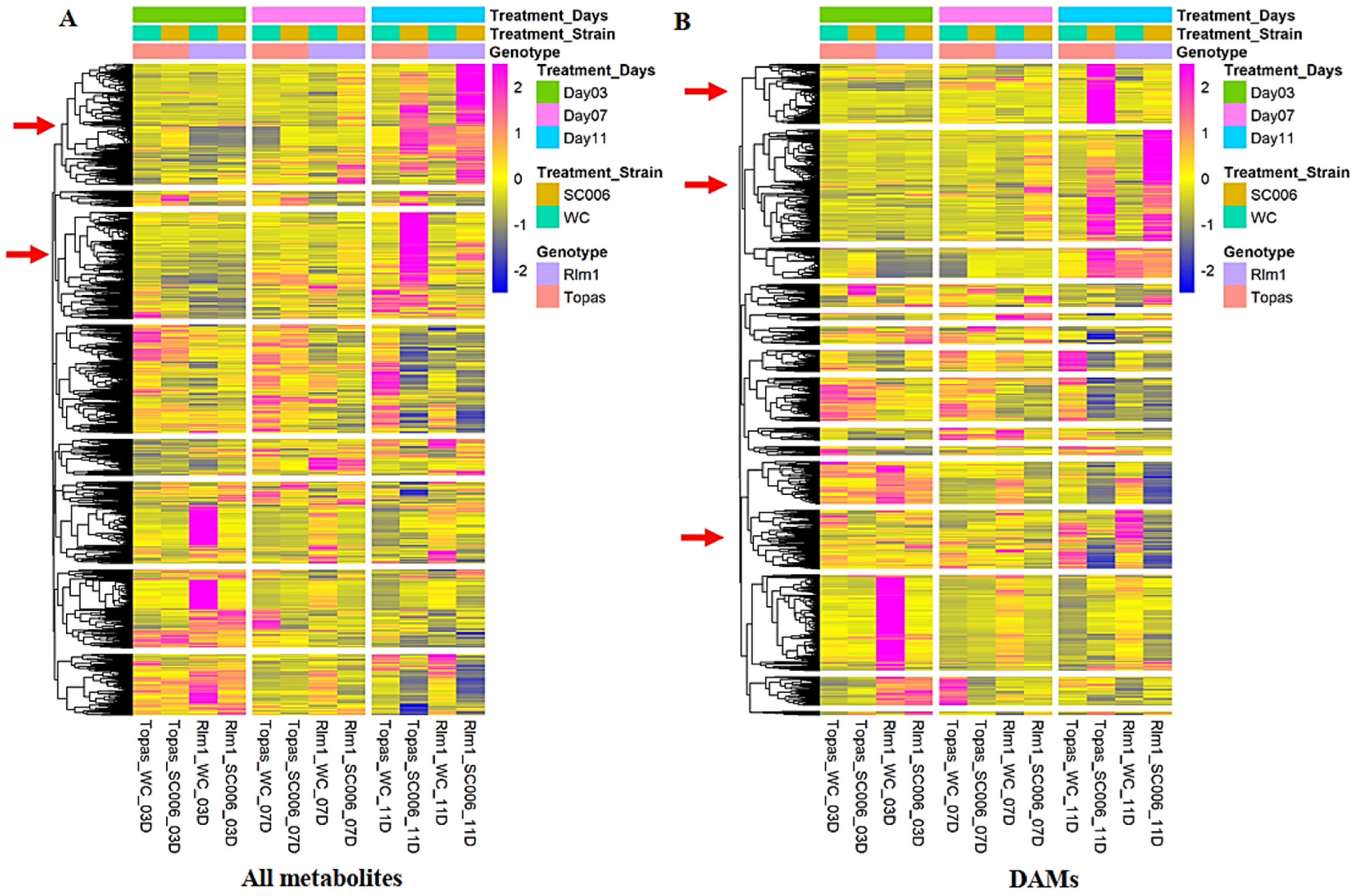 Ijms 26 05627 g003 Ijms 26 05627 g003