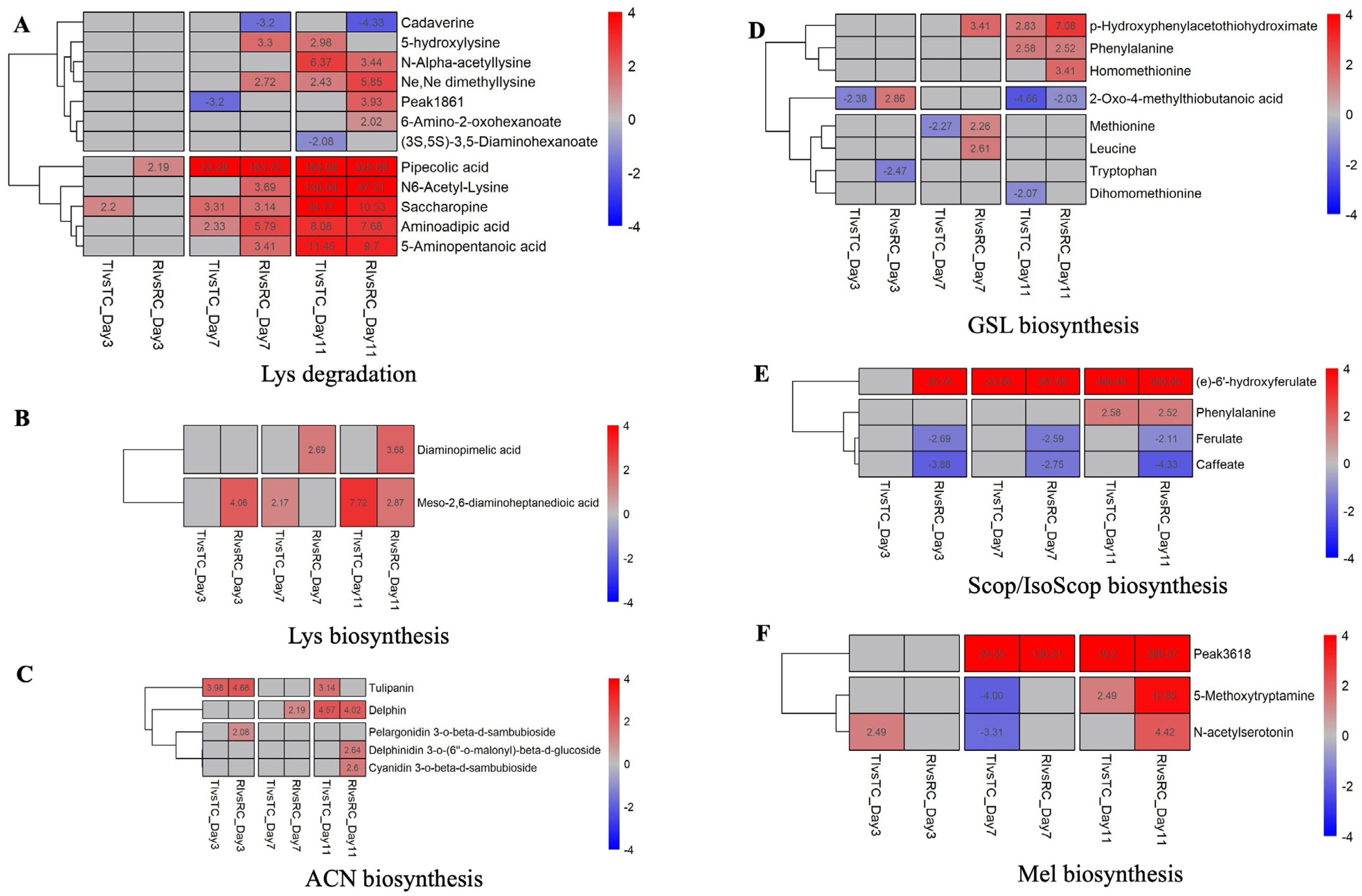 Ijms 26 05627 g004a Ijms 26 05627 g004a