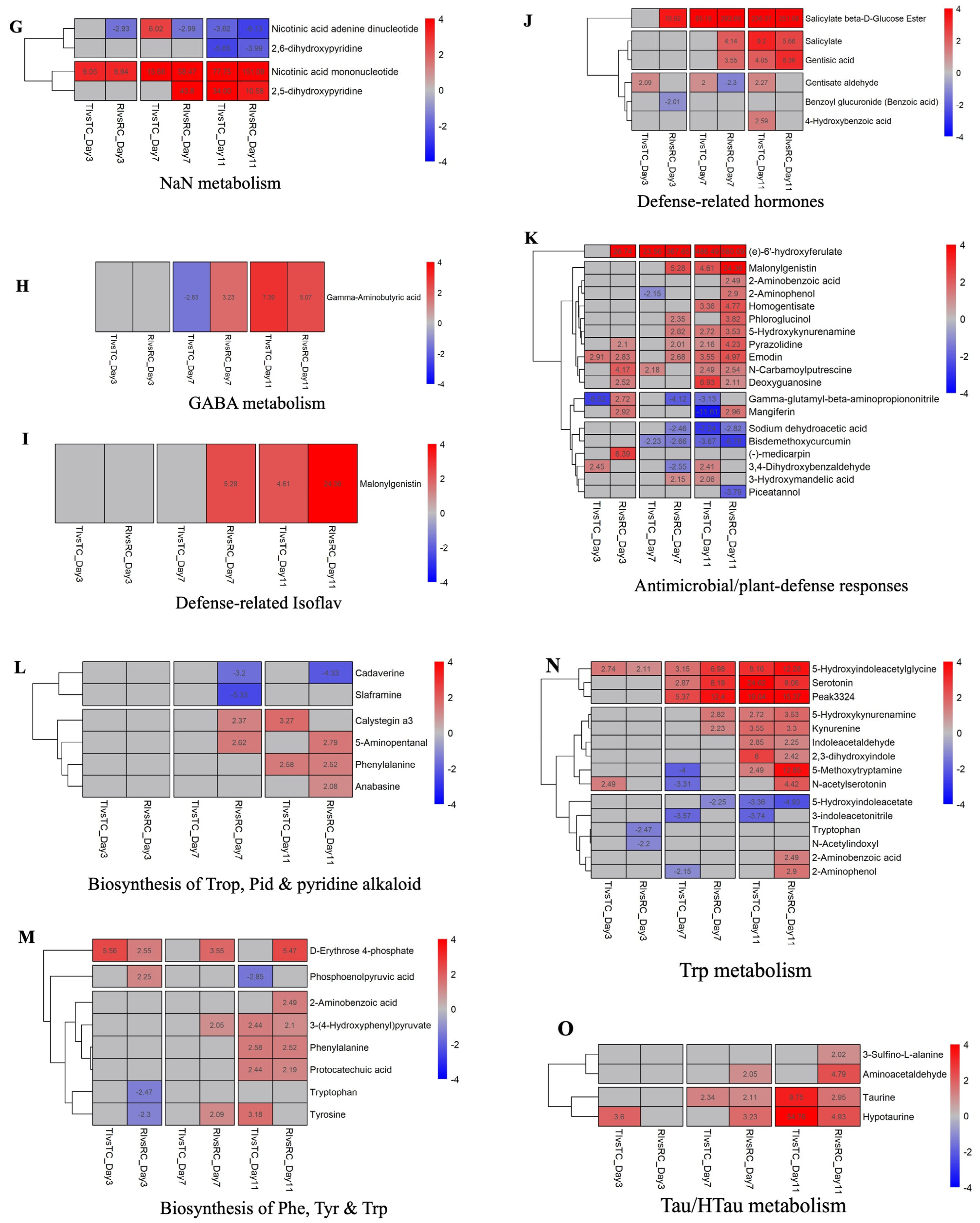 Ijms 26 05627 g004b Ijms 26 05627 g004b