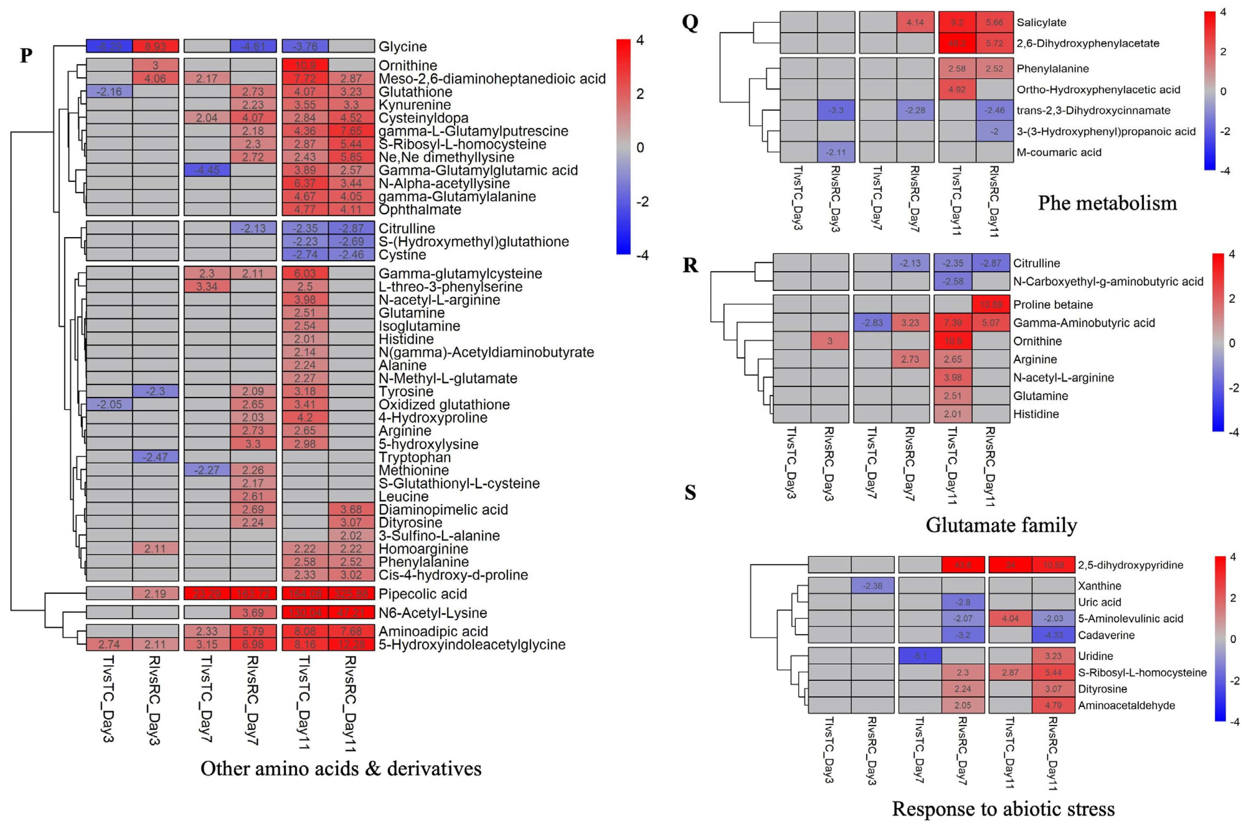 Ijms 26 05627 g004c Ijms 26 05627 g004c