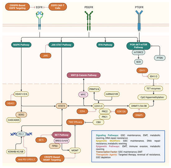 グラハム Frontiers | Defining correlates of protection for mammalian