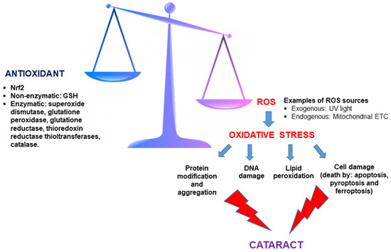 what reuduces glutathione Can Reduced Glutathione Support Detoxification and Energy in Long COVID and  ME/CFS?