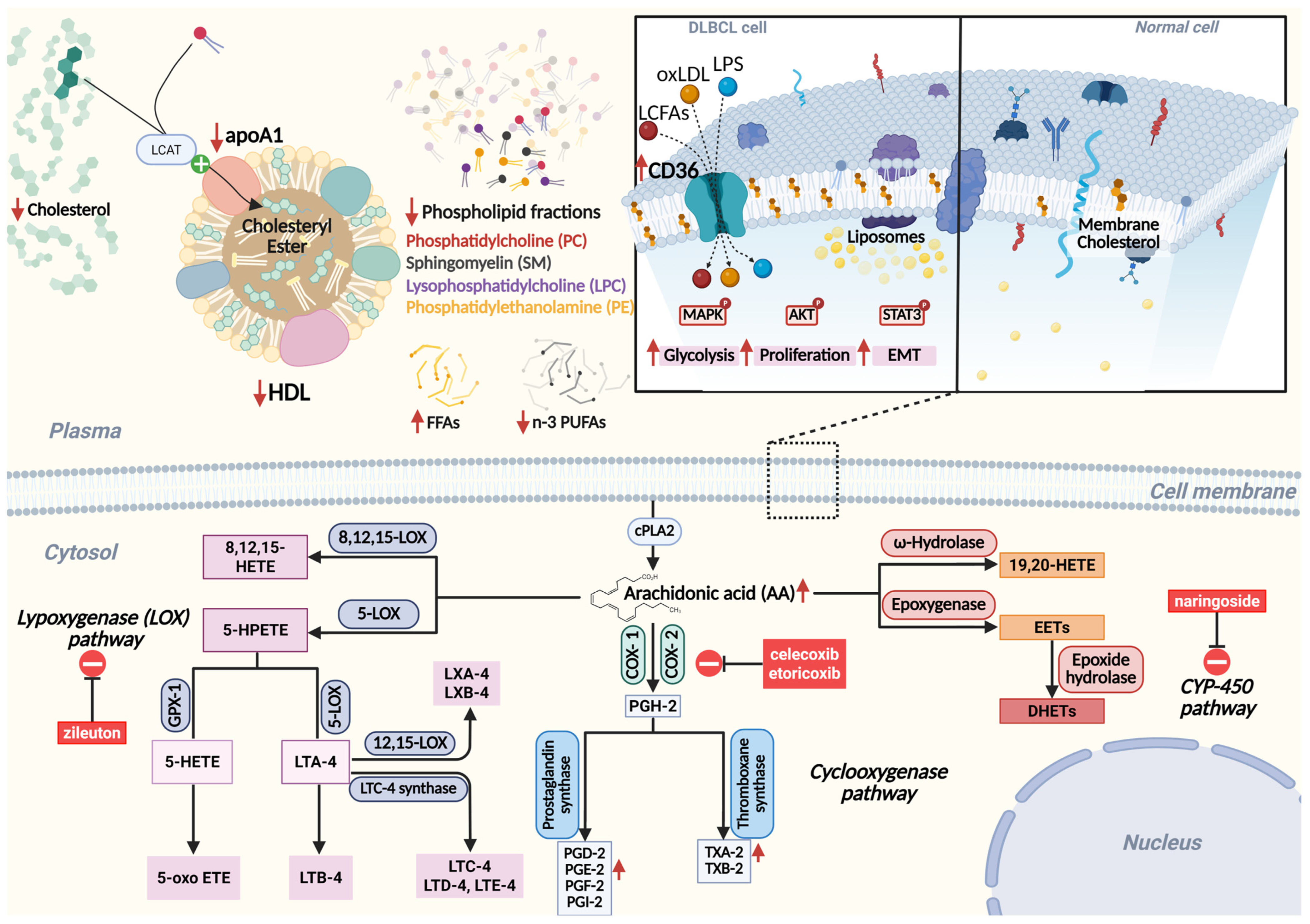 Ijms 26 05670 g001 Ijms 26 05670 g001