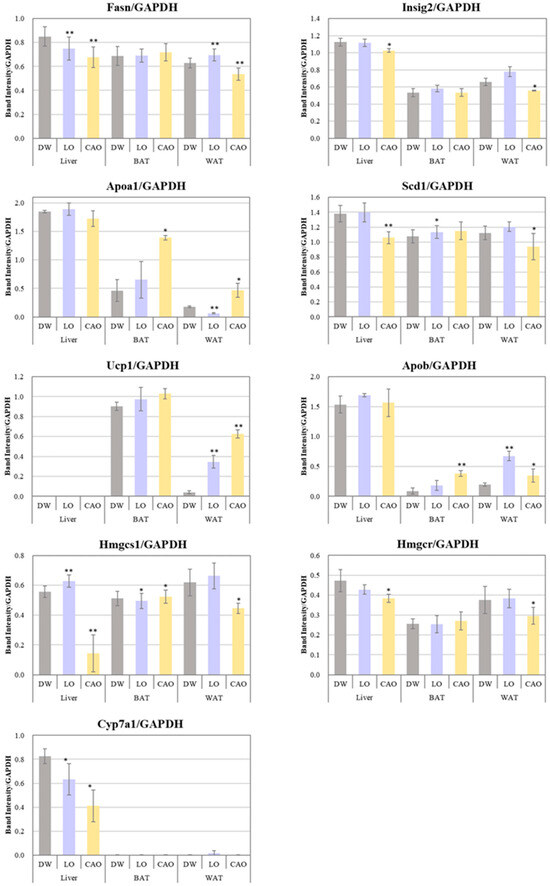 Effects of Essential Oil Inhalation on the Enhancement of Plasma and ...