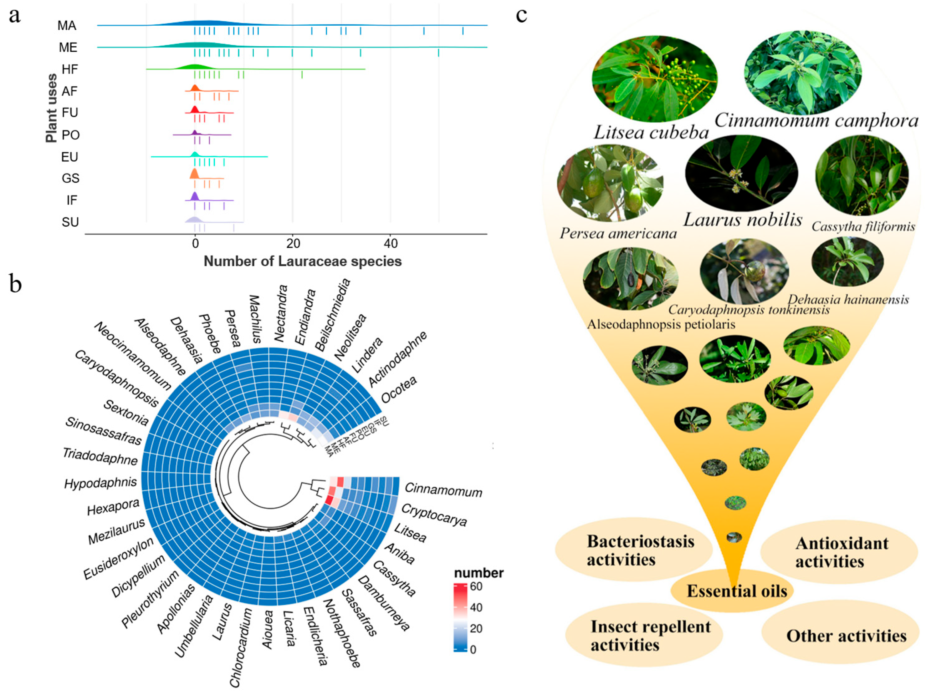 Ijms 26 05690 g001 Ijms 26 05690 g001