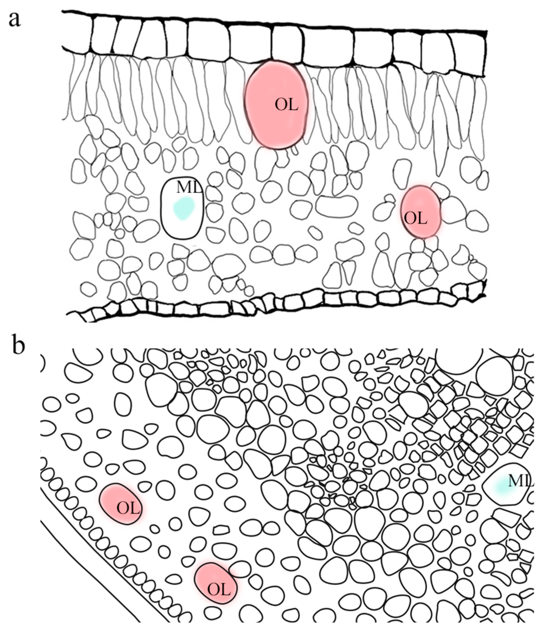 Ijms 26 05690 g002 Ijms 26 05690 g002