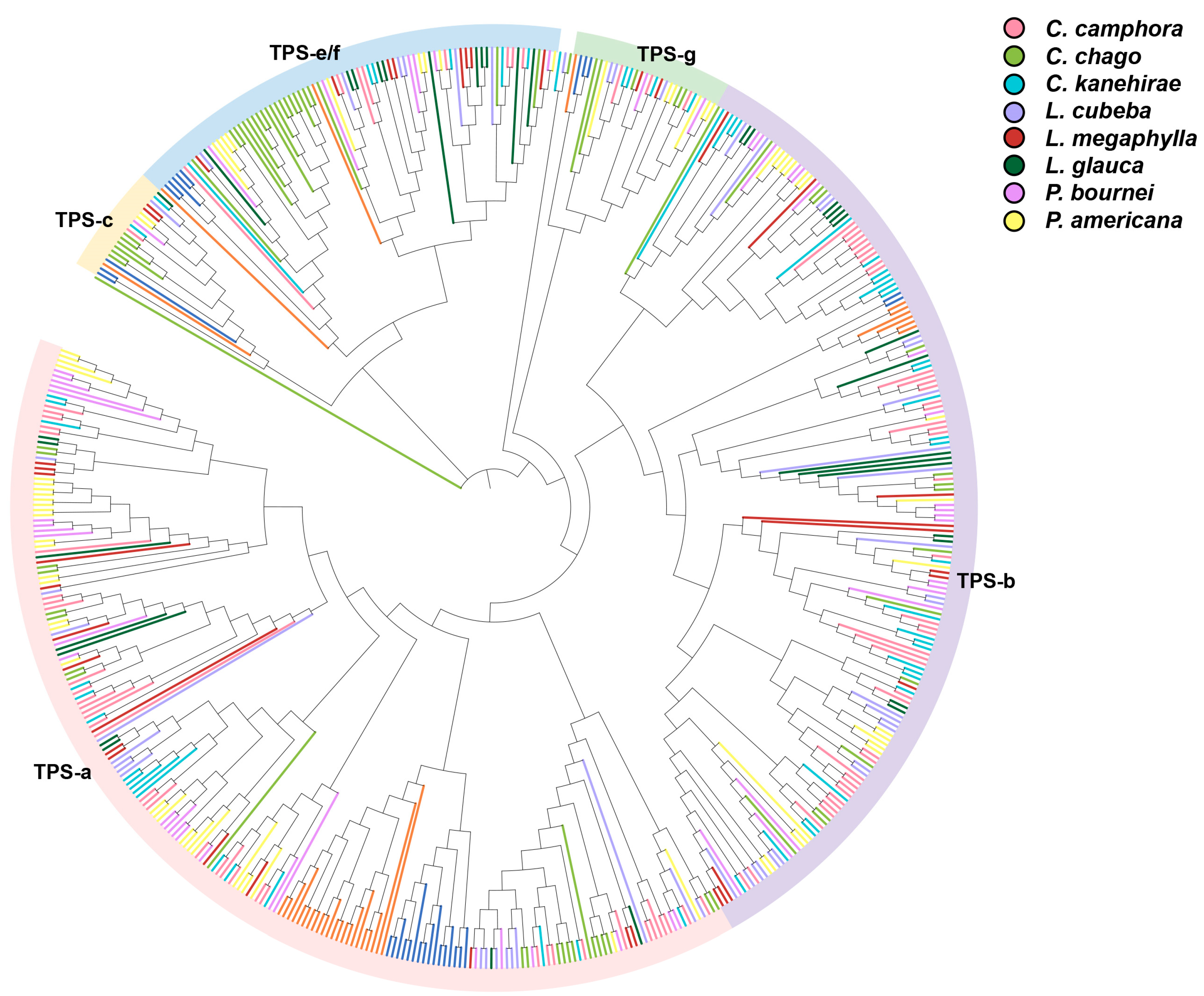 Ijms 26 05690 g005 Ijms 26 05690 g005