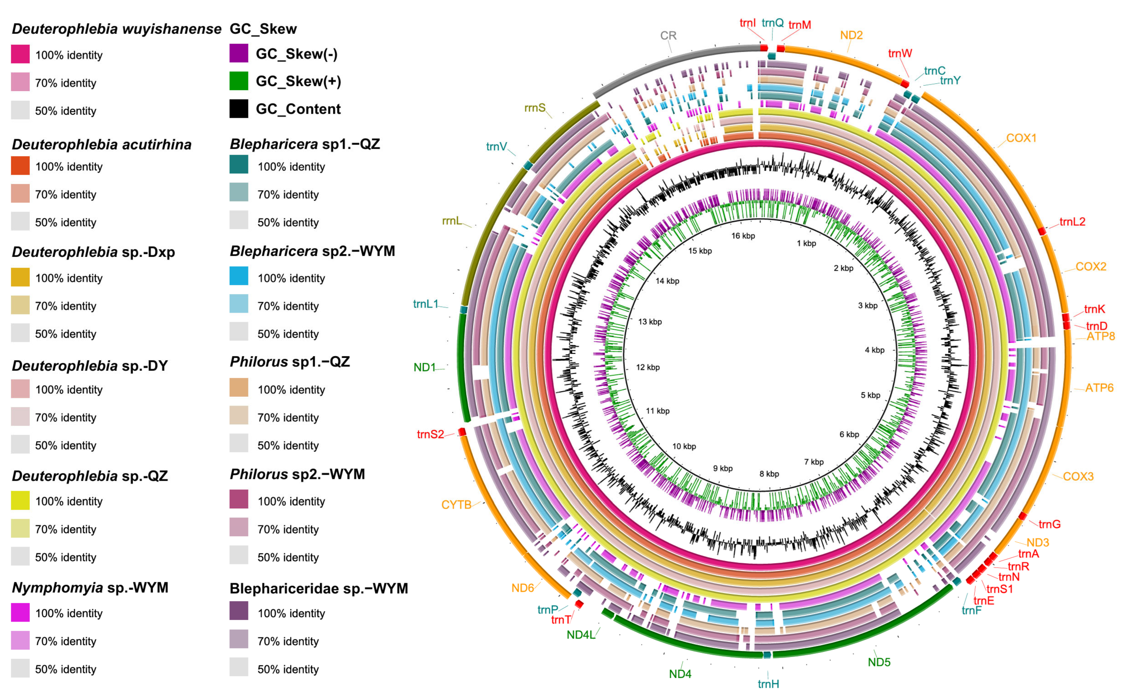 Ijms 26 05714 g001 Ijms 26 05714 g001