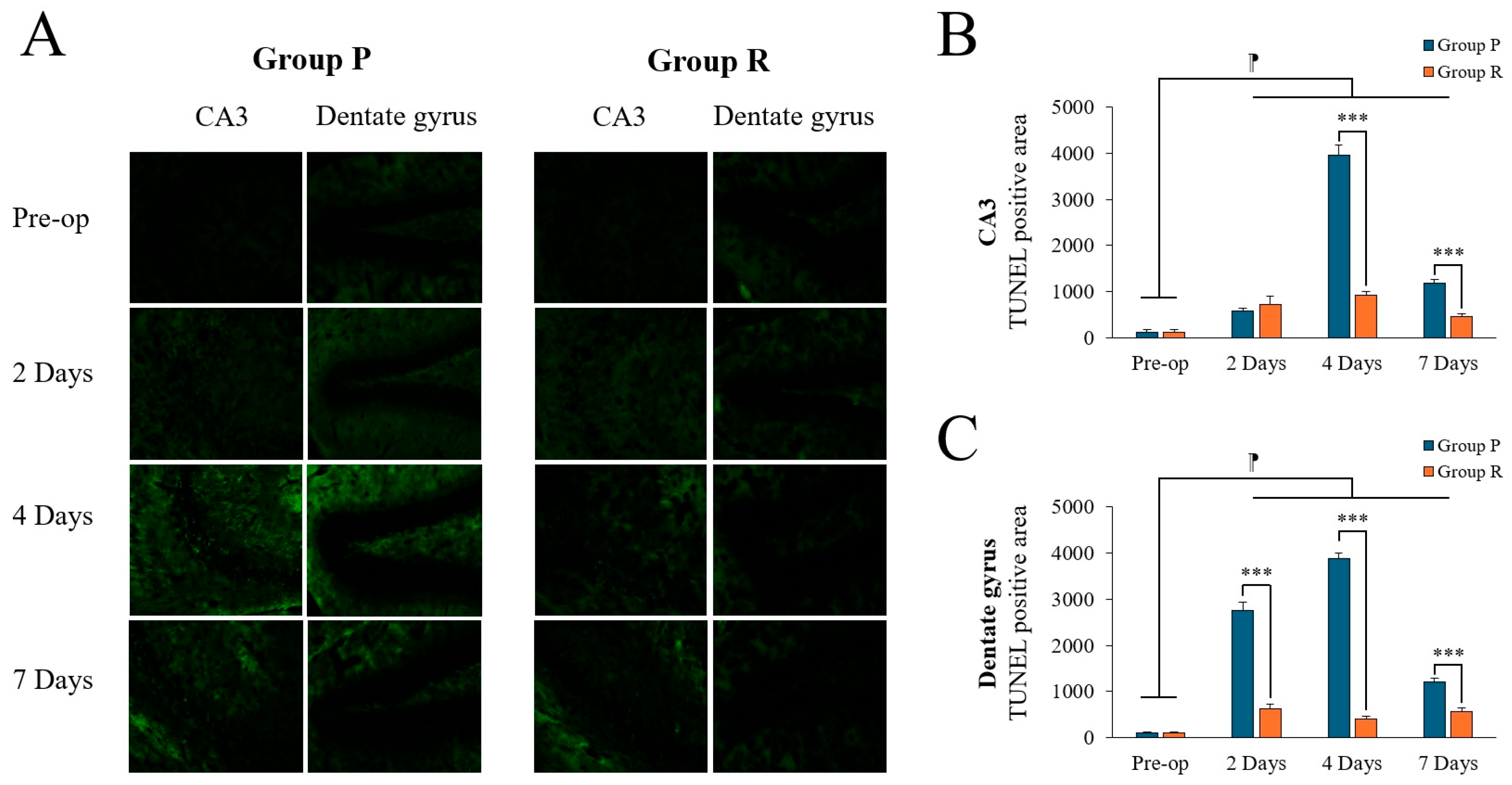 Ijms 26 05718 g002 Ijms 26 05718 g002