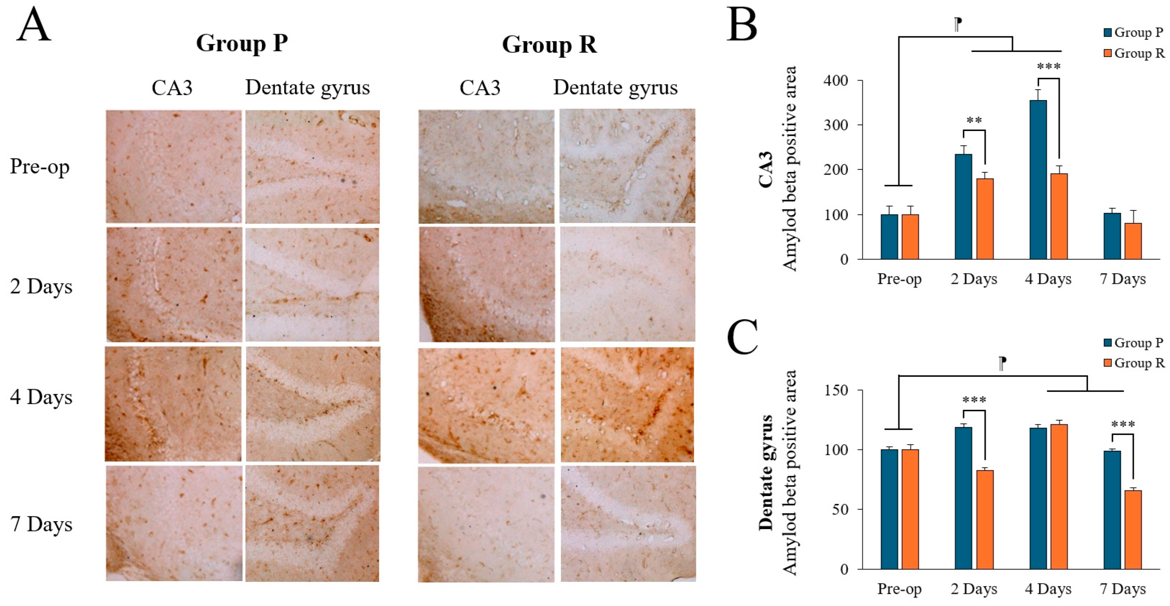 Ijms 26 05718 g003 Ijms 26 05718 g003