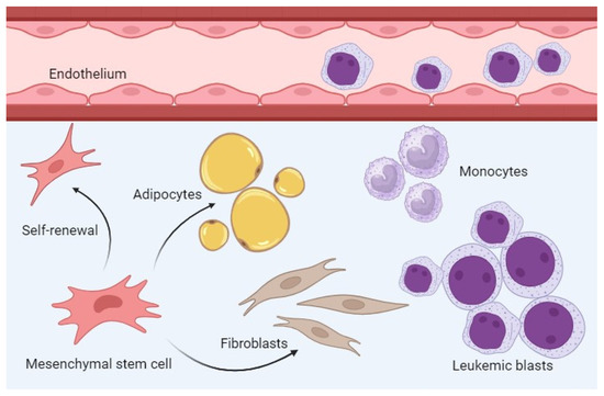 PRセル Cell Type-Specific Expression of Purinergic P2X Receptors in