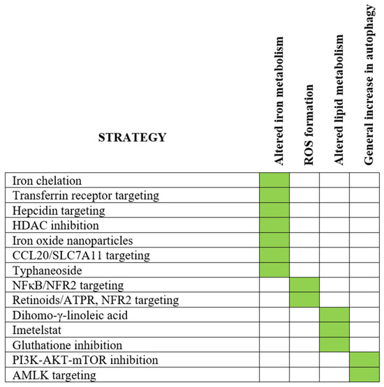 Ferritin in Acute Myeloid Leukemia: Not Only a Marker of