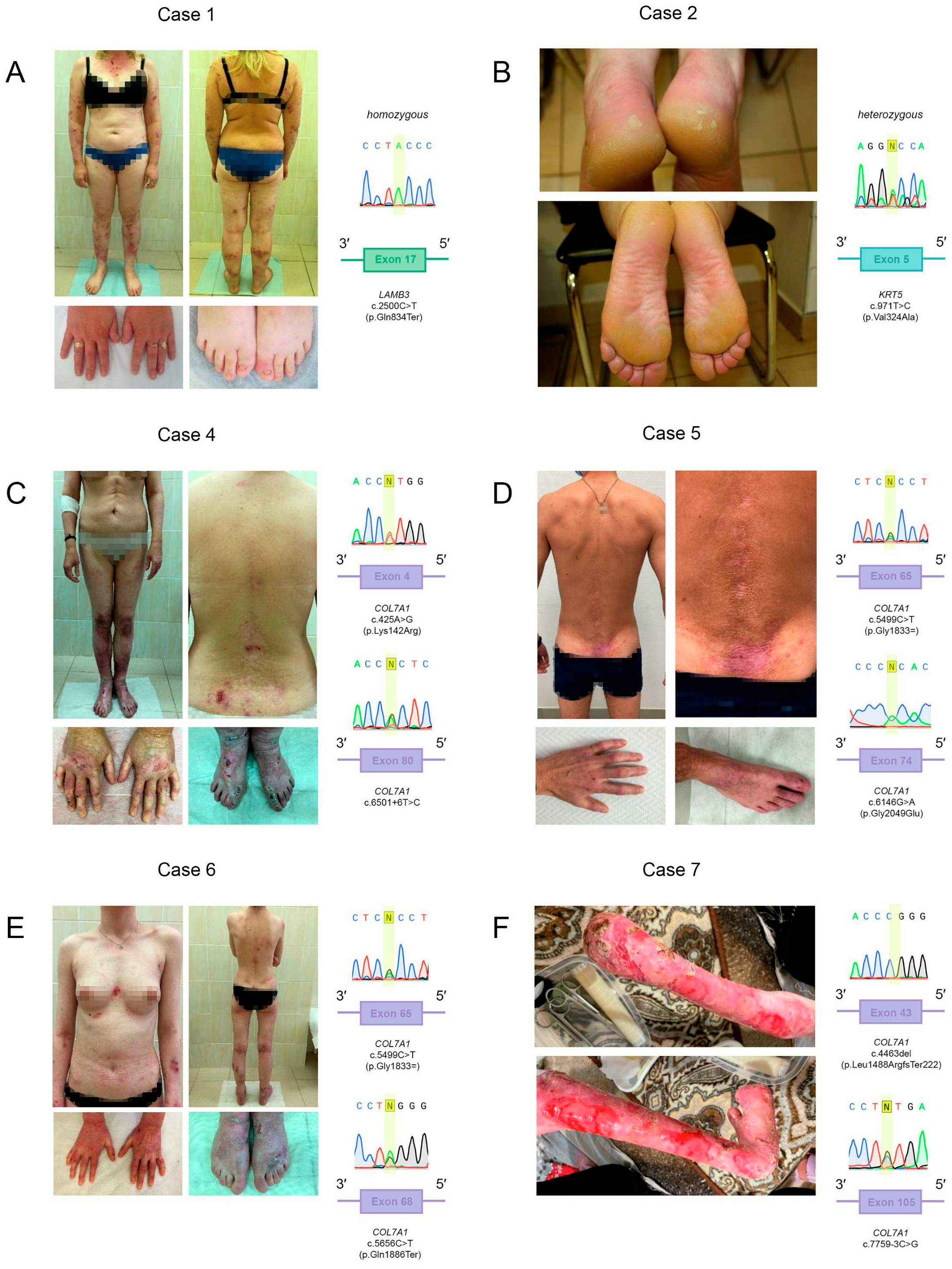 Ijms 26 05762 g001 Ijms 26 05762 g001