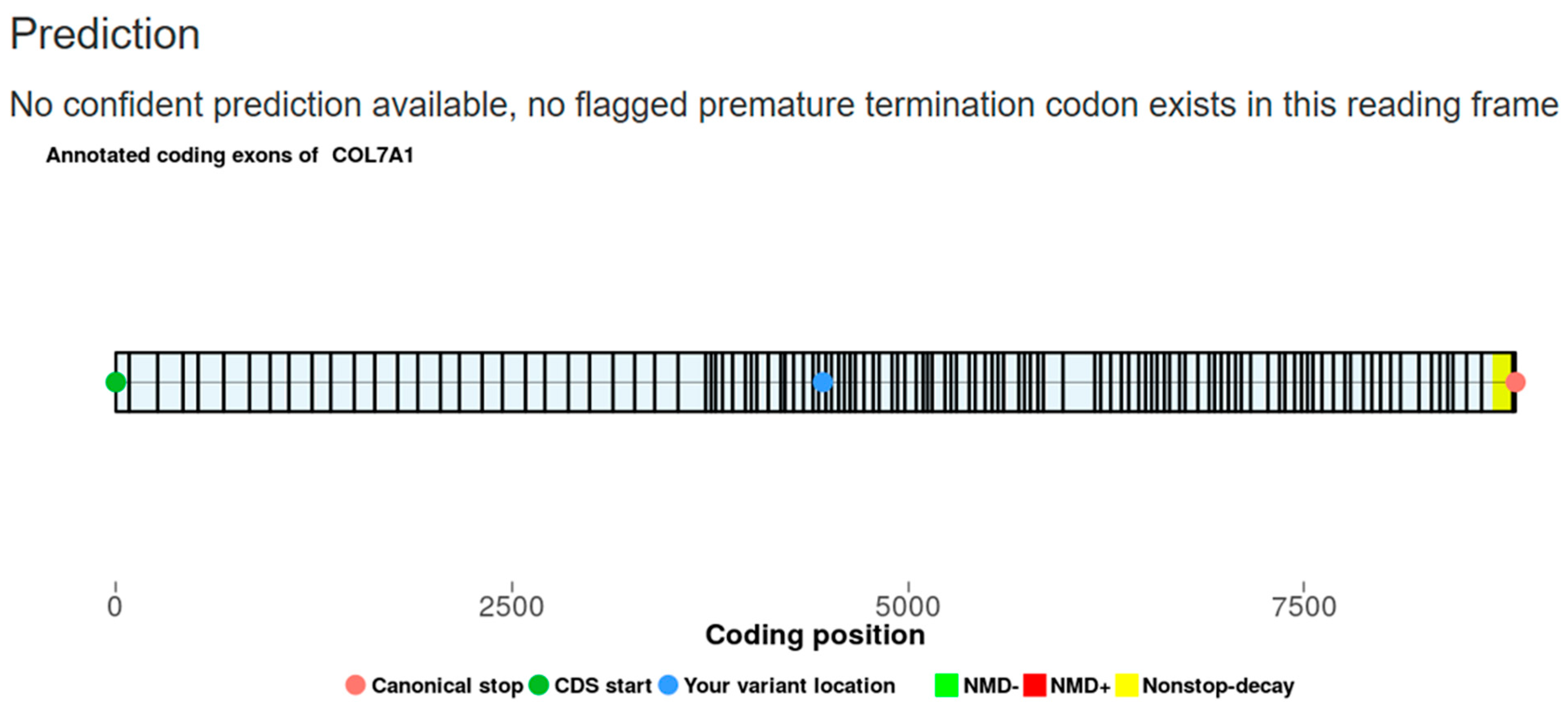 Ijms 26 05762 g003 Ijms 26 05762 g003