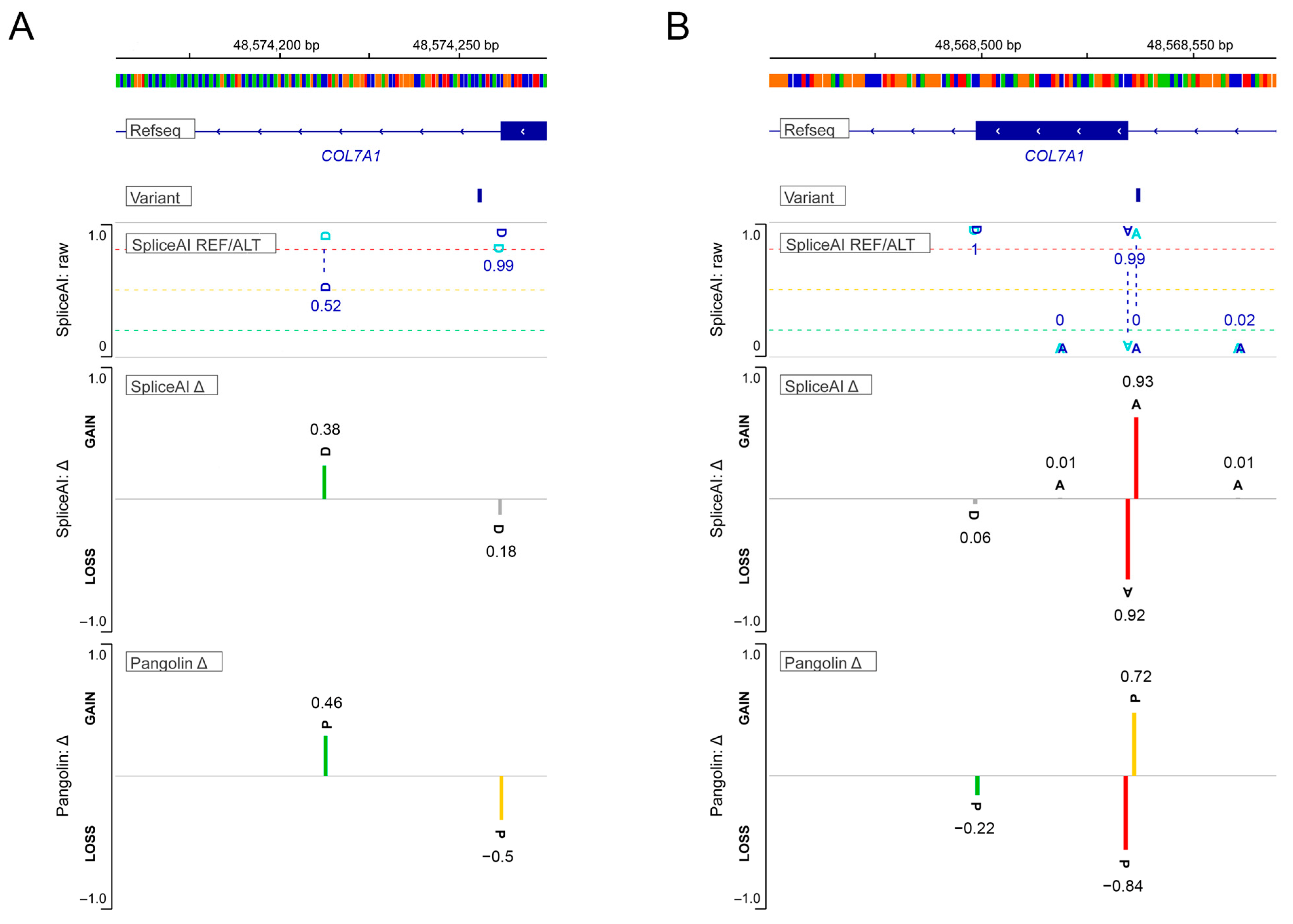 Ijms 26 05762 g004 Ijms 26 05762 g004