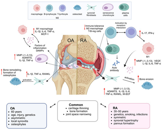 Advances in Regenerative Therapies for Inflammatory