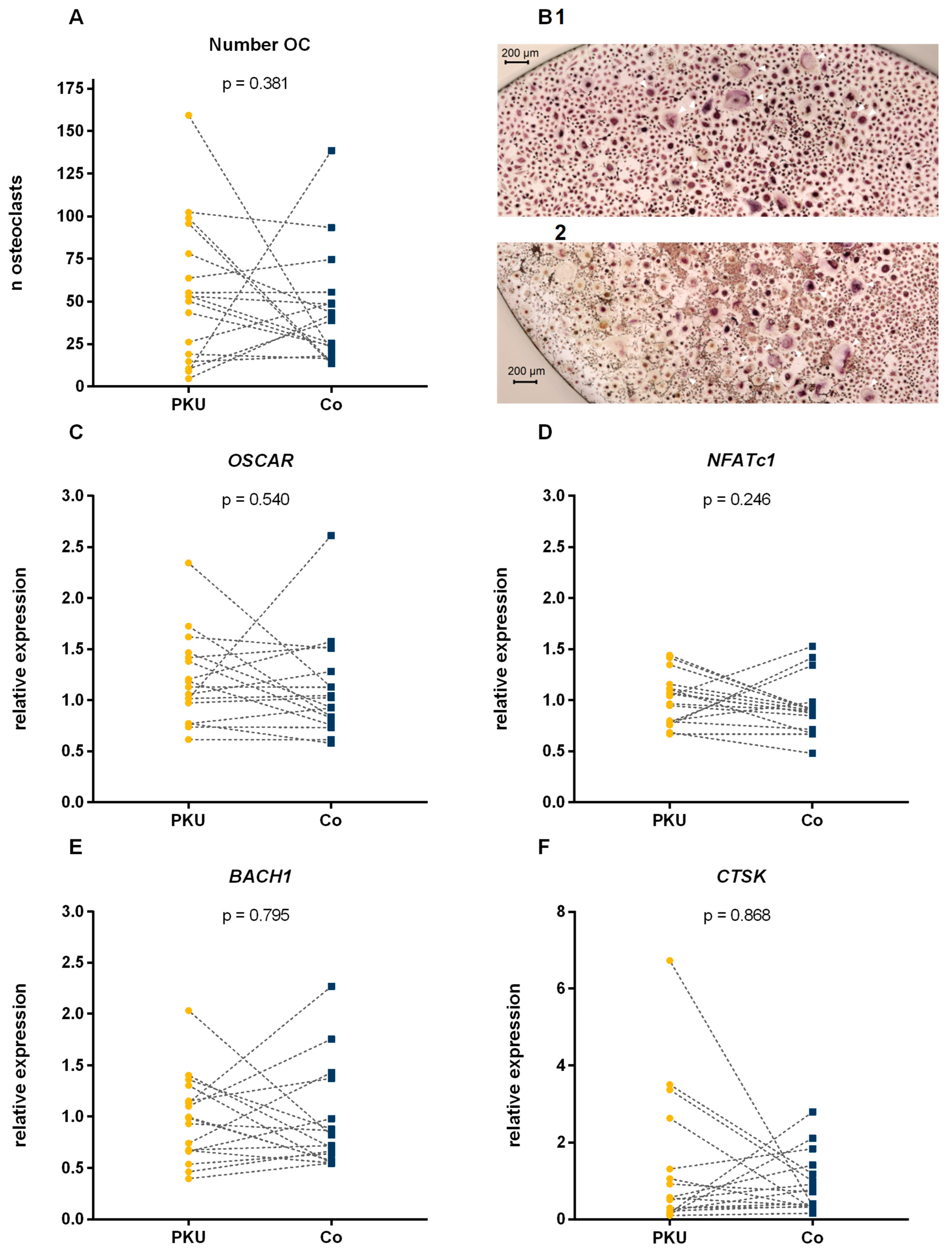 Ijms 26 05776 g001 Ijms 26 05776 g001