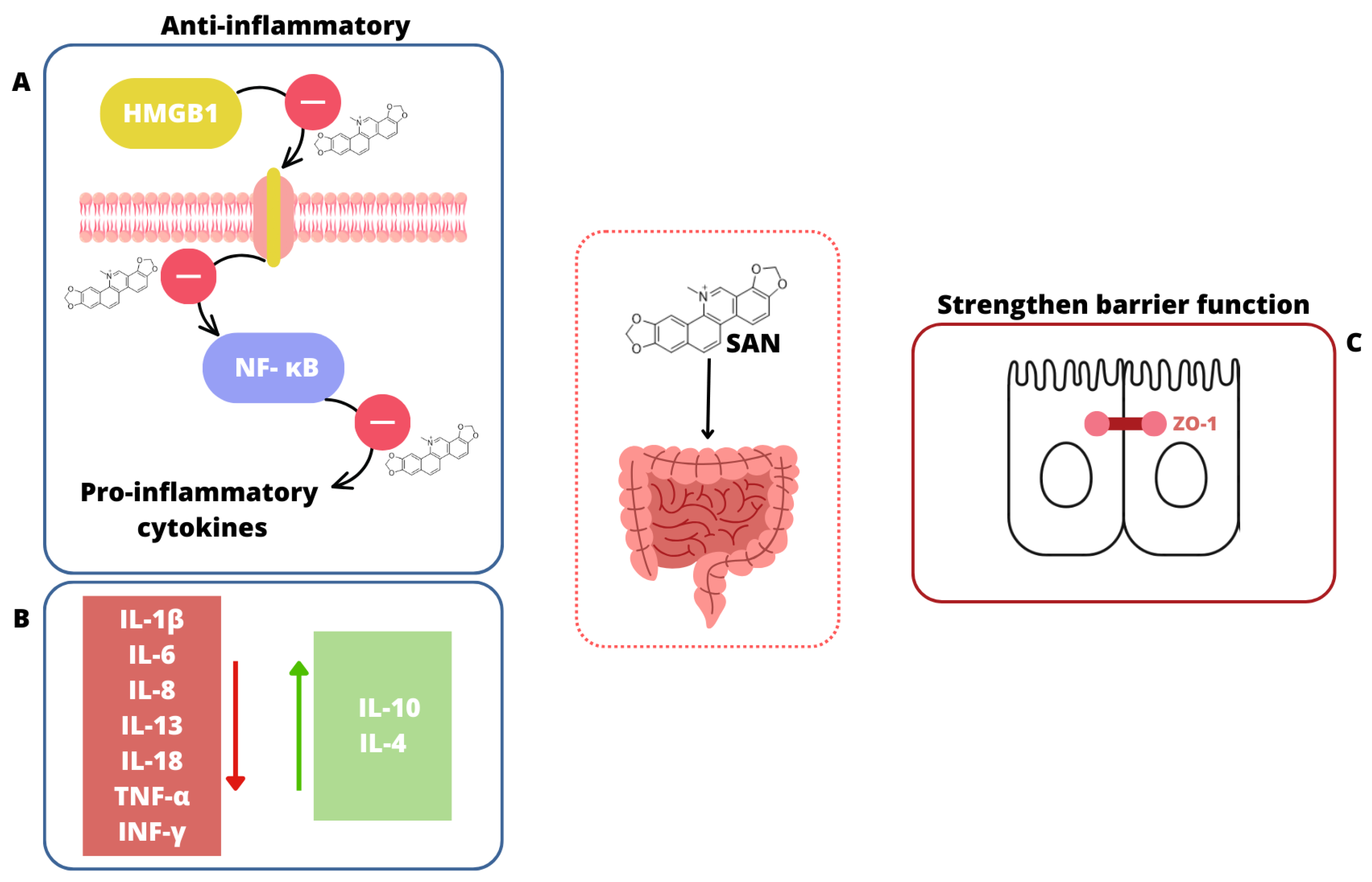 Can Nature Overcome Invasive Gastrointestinal Infections?