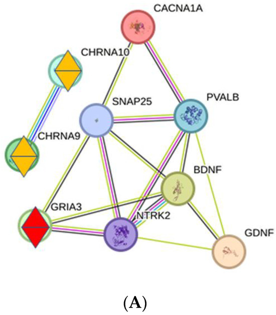 can you take glutathione on empty stomach should you take liposomal glutathione on an empty stomach Liposomal  glutathione