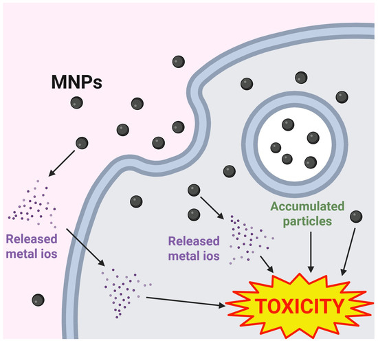 Cardiovascular Toxicity of Metal-Based Nanoparticles