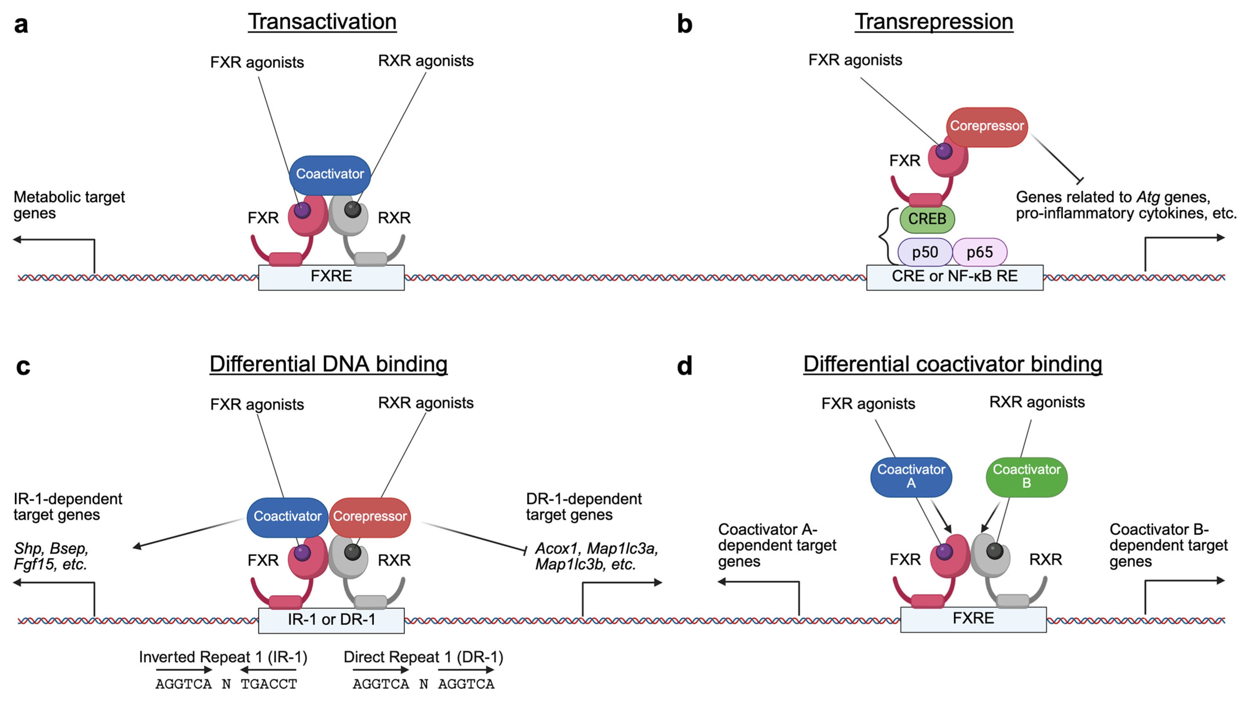 Ijms 26 05825 g002 Ijms 26 05825 g002