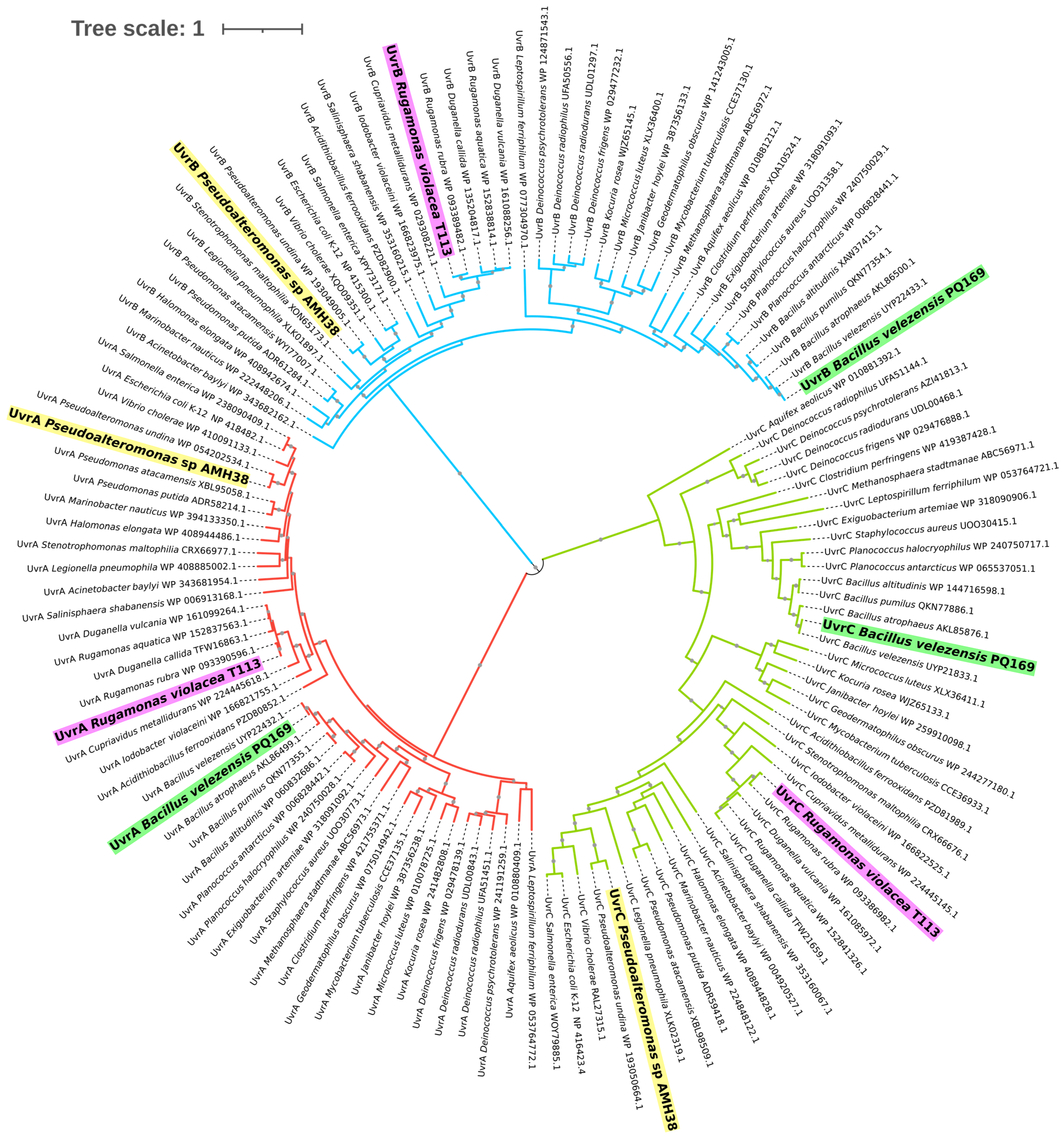 Ijms 26 05842 g002 Ijms 26 05842 g002