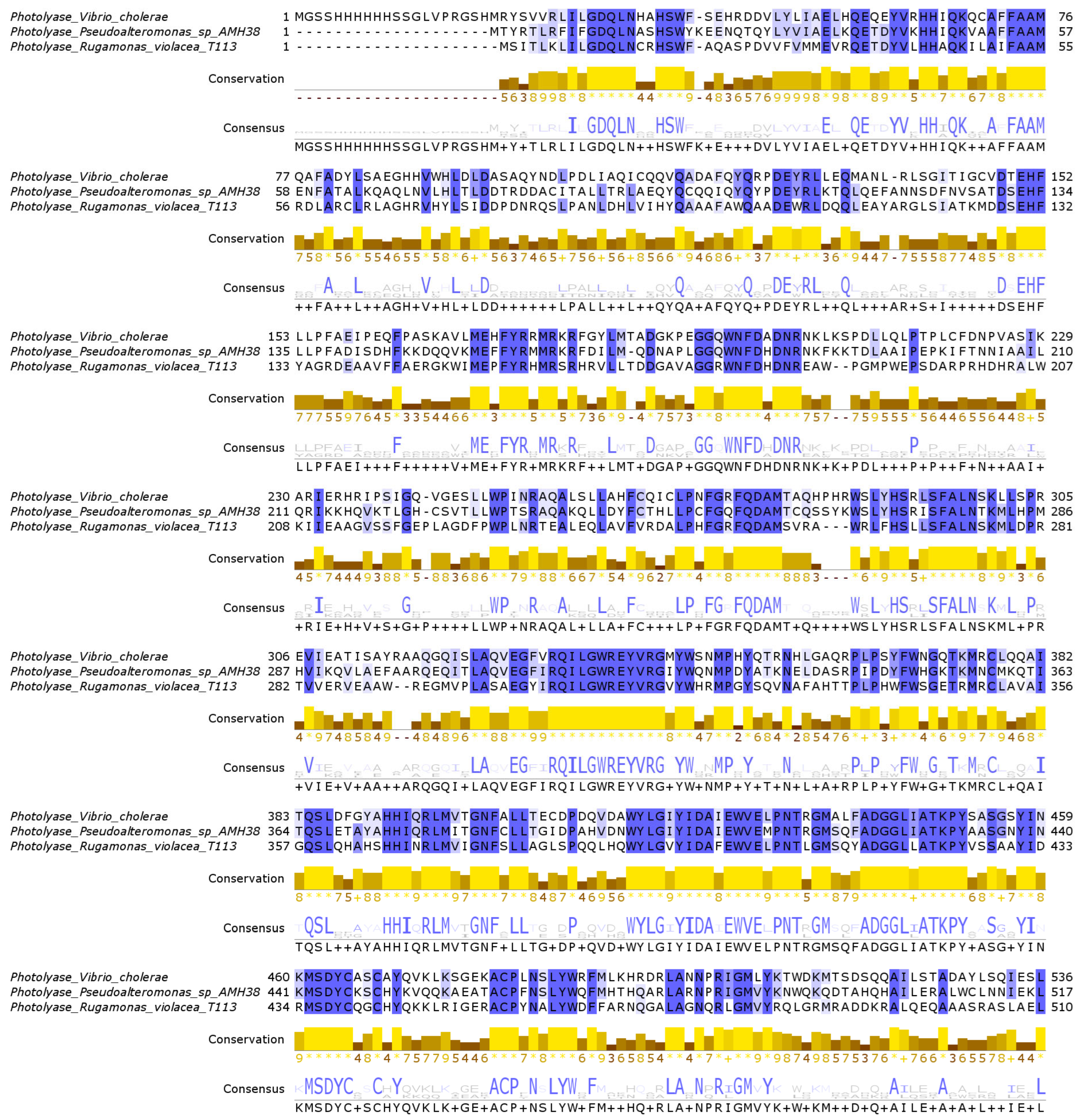 Ijms 26 05842 g003 Ijms 26 05842 g003