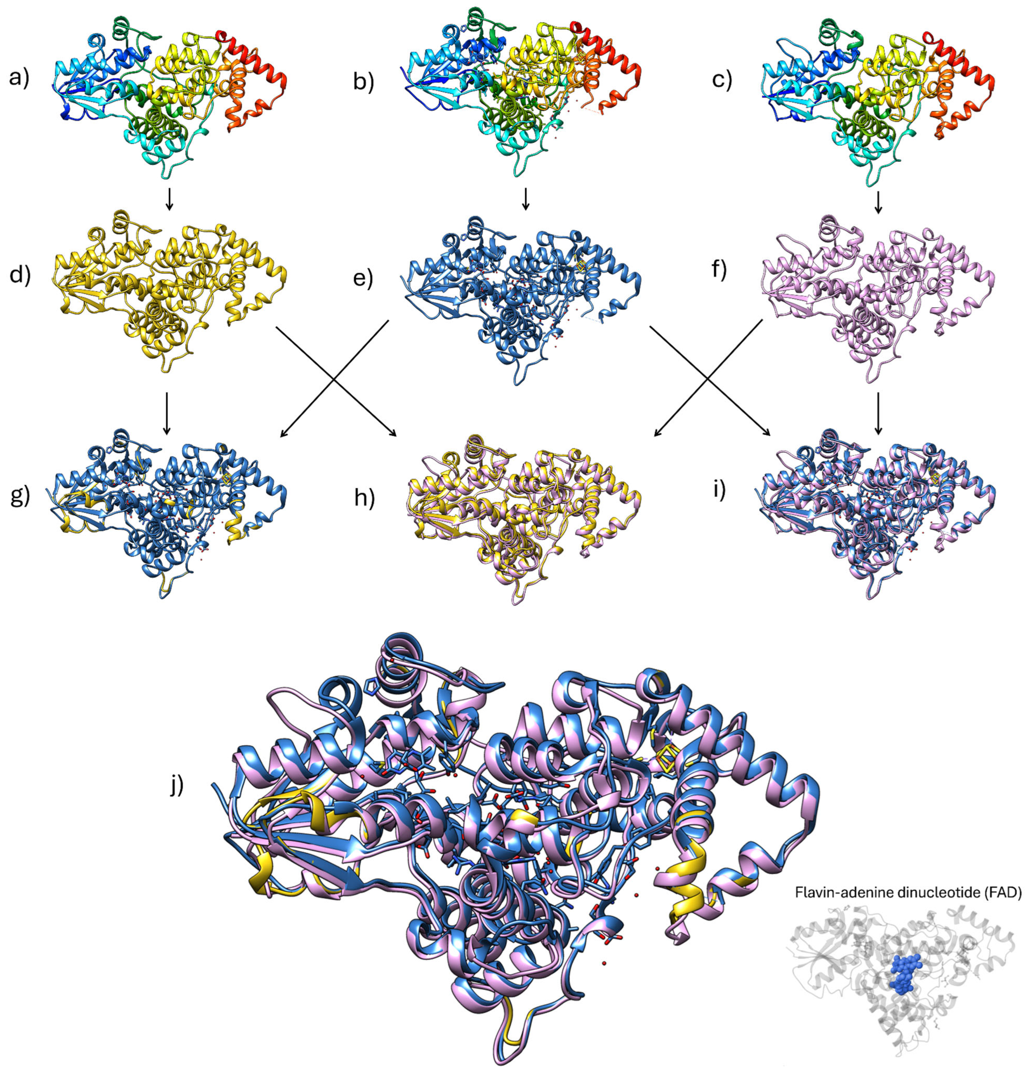 Ijms 26 05842 g004 Ijms 26 05842 g004