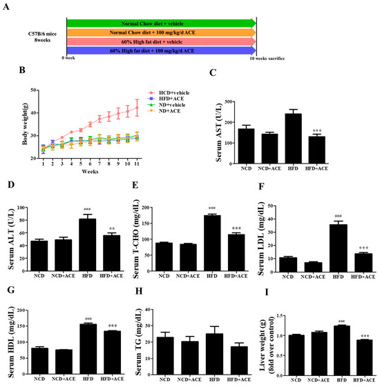 Antrodia cinnamomea Extract Attenuates Obesity by Targeting