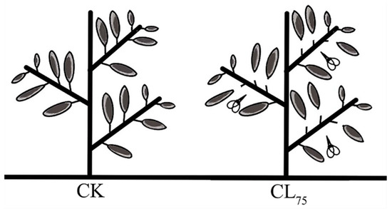 Transcriptome and Metabolome Analyses of Short-Term