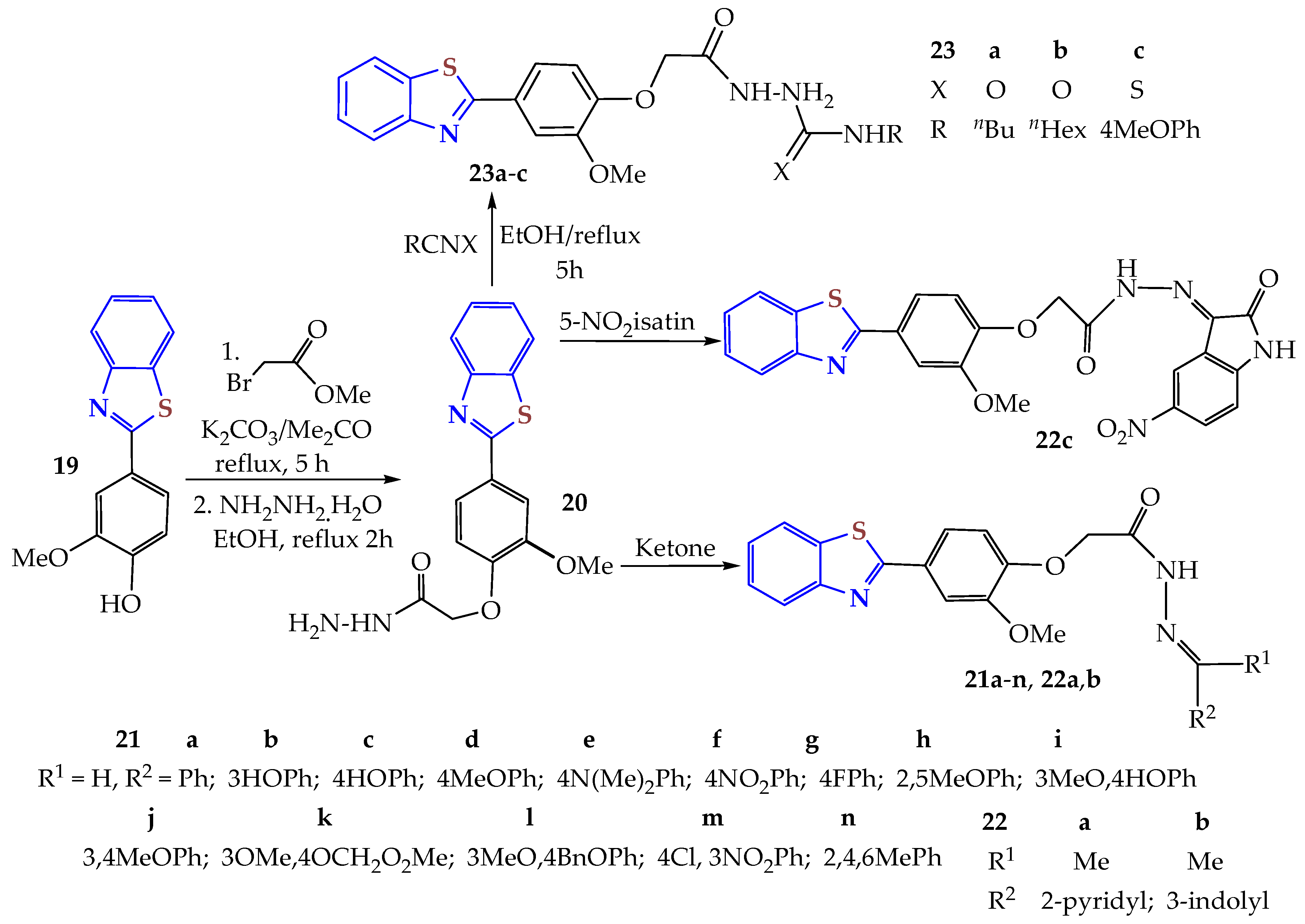 Ijms 26 05901 sch004