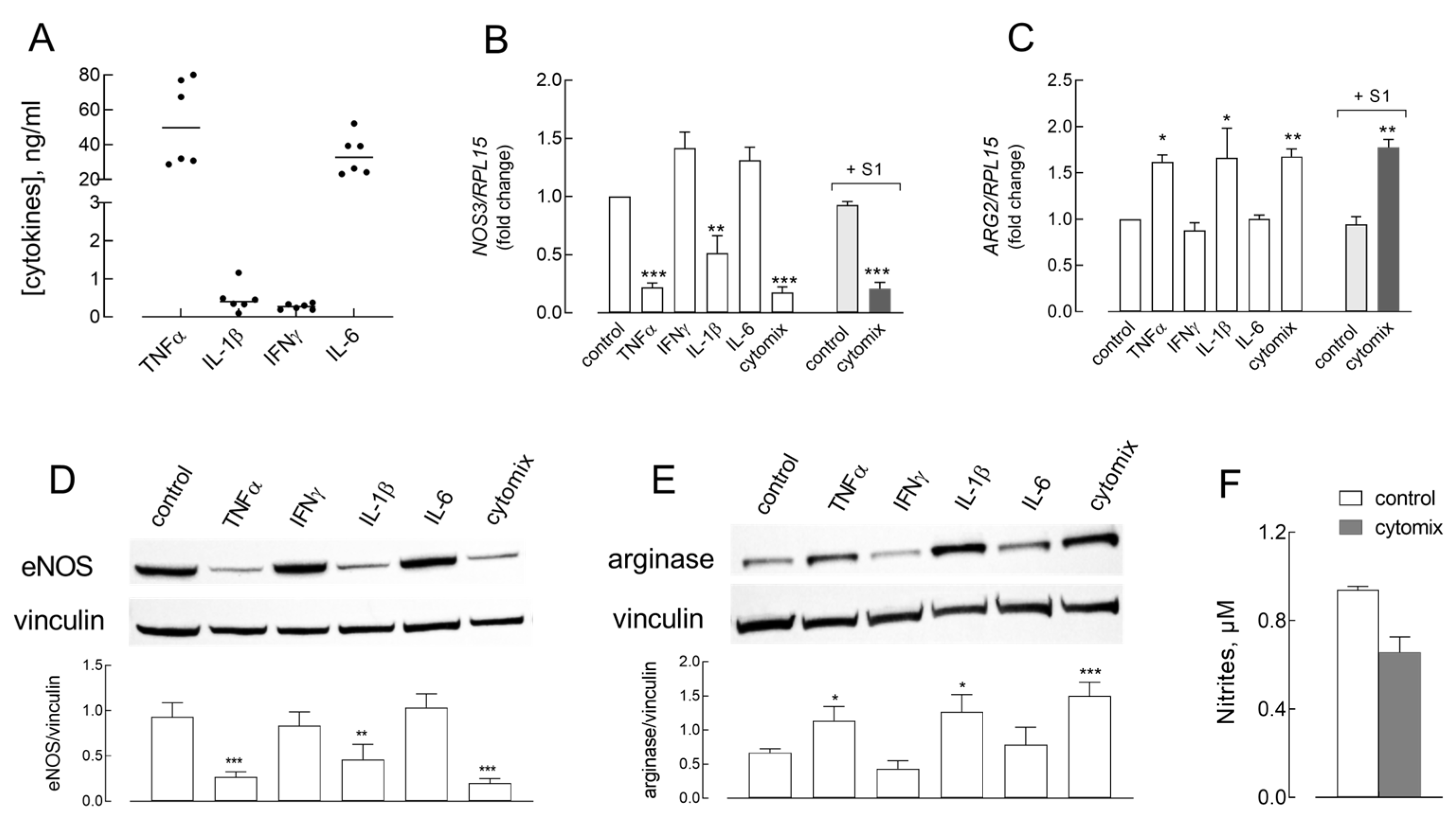 Ijms 26 05916 g002 Ijms 26 05916 g002
